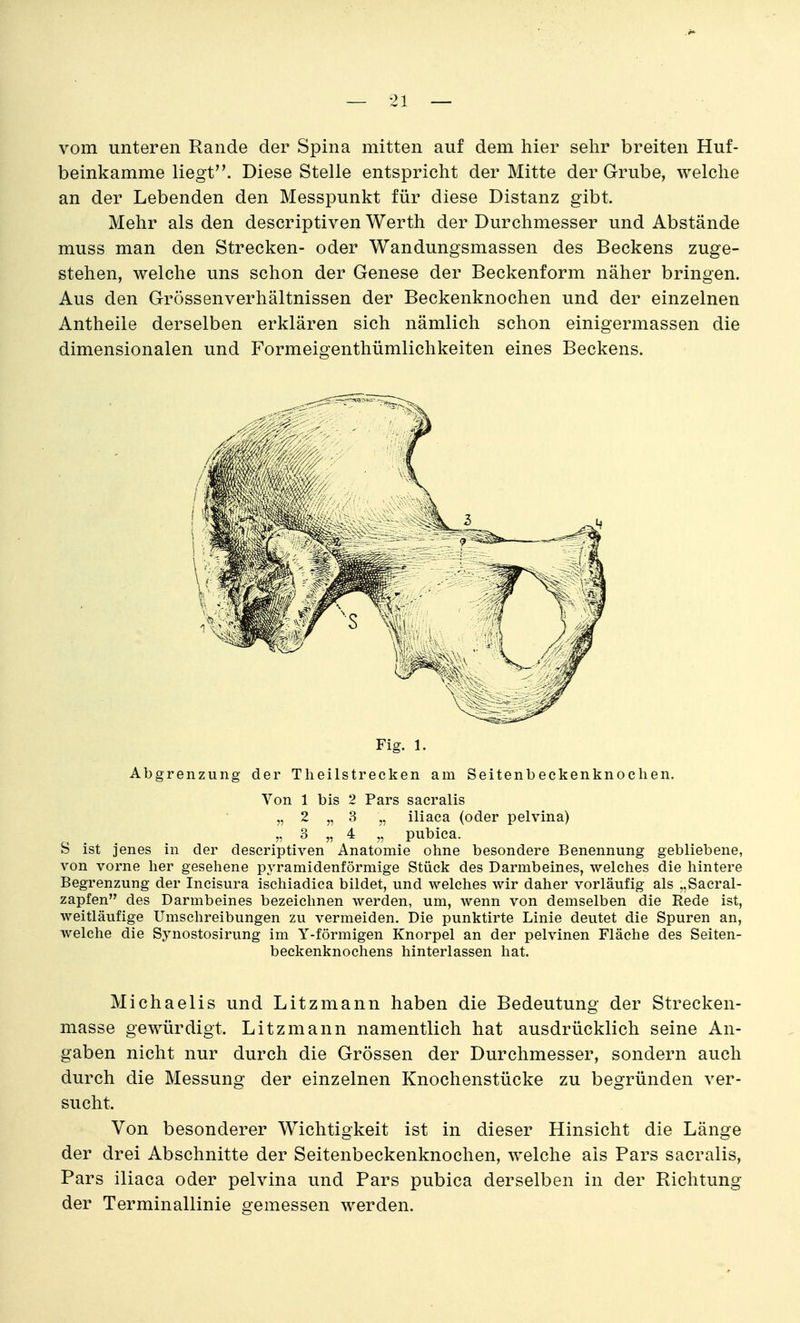 — -21 — vom unteren Rande der Spina mitten auf dem hier sehr breiten Huf- beinkamme liegt. Diese Stelle entspricht der Mitte der Grube, welche an der Lebenden den Messpunkt für diese Distanz gibt. Mehr als den descriptiven Werth der Durchmesser und Abstände muss man den Strecken- oder Wandungsmassen des Beckens zuge- stehen, welche uns schon der Genese der Beckenform näher bringen. Aus den Grössenverhältnissen der Beckenknochen und der einzelnen Antheile derselben erklären sich nämlich schon einigermassen die dimensionalen und Formeigenthümlichkeiten eines Beckens. Fig. 1. Abgrenzung der Theilstrecken am Seitenbeckenknoclien. Von 1 bis 2 Pars saeralis „ 2 „ 3 „ iliaca (oder pelvina) „ 3 „ 4 „ pubica. S ist jenes in der descriptiven Anatomie ohne besondere Benennung gebliebene, von vorne her gesehene pyramidenförmige Stück des Darmbeines, welches die hintere Begrenzung der Incisura ischiadica bildet, und welches wir daher vorläufig als „Sacral- zapfen des Darmbeines bezeichnen werden, um, wenn von demselben die Rede ist, weitläufige Umschreibungen zu vermeiden. Die punktirte Linie deutet die Spuren an, welche die Synostosirung im Y-förmigen Knorpel an der pelvinen Fläche des Seiten- beckenknochens hinterlassen hat. Michaelis und Litzmann haben die Bedeutung der Strecken- masse gewürdigt. Litzmann namentlich hat ausdrücklich seine An- gaben nicht nur durch die Grössen der Durchmesser, sondern auch durch die Messung der einzelnen Knochenstücke zu begründen ver- sucht. Von besonderer Wichtigkeit ist in dieser Hinsicht die Länge der drei Abschnitte der Seitenbeckenknoclien, welche als Pars saeralis, Pars iliaca oder pelvina und Pars pubica derselben in der Richtung der Terminallinie gemessen werden.