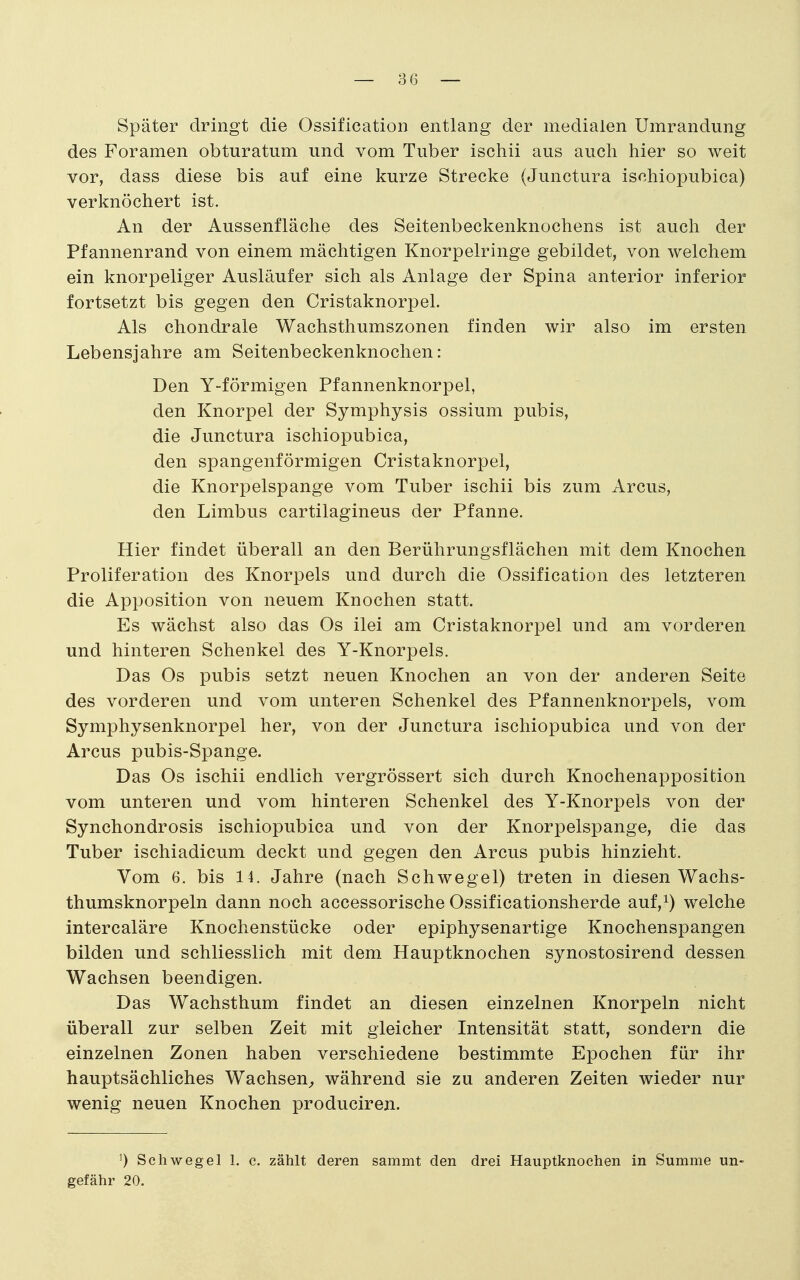 Später dringt die Ossification entlang der medialen Umrandung des Foramen obturatum und vom Tuber ischii aus auch hier so weit vor, dass diese bis auf eine kurze Strecke (Junctura ischiopubica) verknöchert ist. An der Aussenfläche des Seitenbeckenknochens ist auch der Pfannenrand von einem mächtigen Knorpelringe gebildet, von welchem ein knorpeliger Ausläufer sich als Anlage der Spina anterior inferior fortsetzt bis gegen den Cristaknorpel. Als chondrale Wachsthumszonen finden wir also im ersten Lebensjahre am Seitenbeckenknochen: Den Y-förmigen Pfannenknorpel, den Knorpel der Symphysis ossium pubis, die Junctura ischiopubica, den spangenförmigen Cristaknorpel, die Knorpelspange vom Tuber ischii bis zum Arcus, den Limbus cartilagineus der Pfanne. Hier findet überall an den Berührungsflächen mit dem Knochen Proliferation des Knorpels und durch die Ossification des letzteren die Apposition von neuem Knochen statt. Es wächst also das Os ilei am Cristaknorpel und am vorderen und hinteren Schenkel des Y-Knorpels. Das Os pubis setzt neuen Knochen an von der anderen Seite des vorderen und vom unteren Schenkel des Pfannenknorpels, vom Symphysenknorpel her, von der Junctura ischiopubica und von der Arcus pubis-Spange. Das Os ischii endlich vergrössert sich durch Knochenapposition vom unteren und vom hinteren Schenkel des Y-Knorpels von der Synchondrosis ischiopubica und von der Knorpelspange, die das Tuber ischiadicum deckt und gegen den Arcus pubis hinzieht. Vom 6. bis 14. Jahre (nach Schwegel) treten in diesen Wachs- thumsknorpeln dann noch accessorische Ossificationsherde auf,^) welche intercaläre Knochenstücke oder epiphysenartige Knochenspangen bilden und schliesslich mit dem Hauptknochen synostosirend dessen Wachsen beendigen. Das Wachsthum findet an diesen einzelnen Knorpeln nicht überall zur selben Zeit mit gleicher Intensität statt, sondern die einzelnen Zonen haben verschiedene bestimmte Epochen für ihr hauptsächliches Wachsen^ während sie zu anderen Zeiten wieder nur wenig neuen Knochen produciren. ') Schwegel 1. c. zählt deren sammt den drei Hauptknochen in Summe un- gefähr 20.