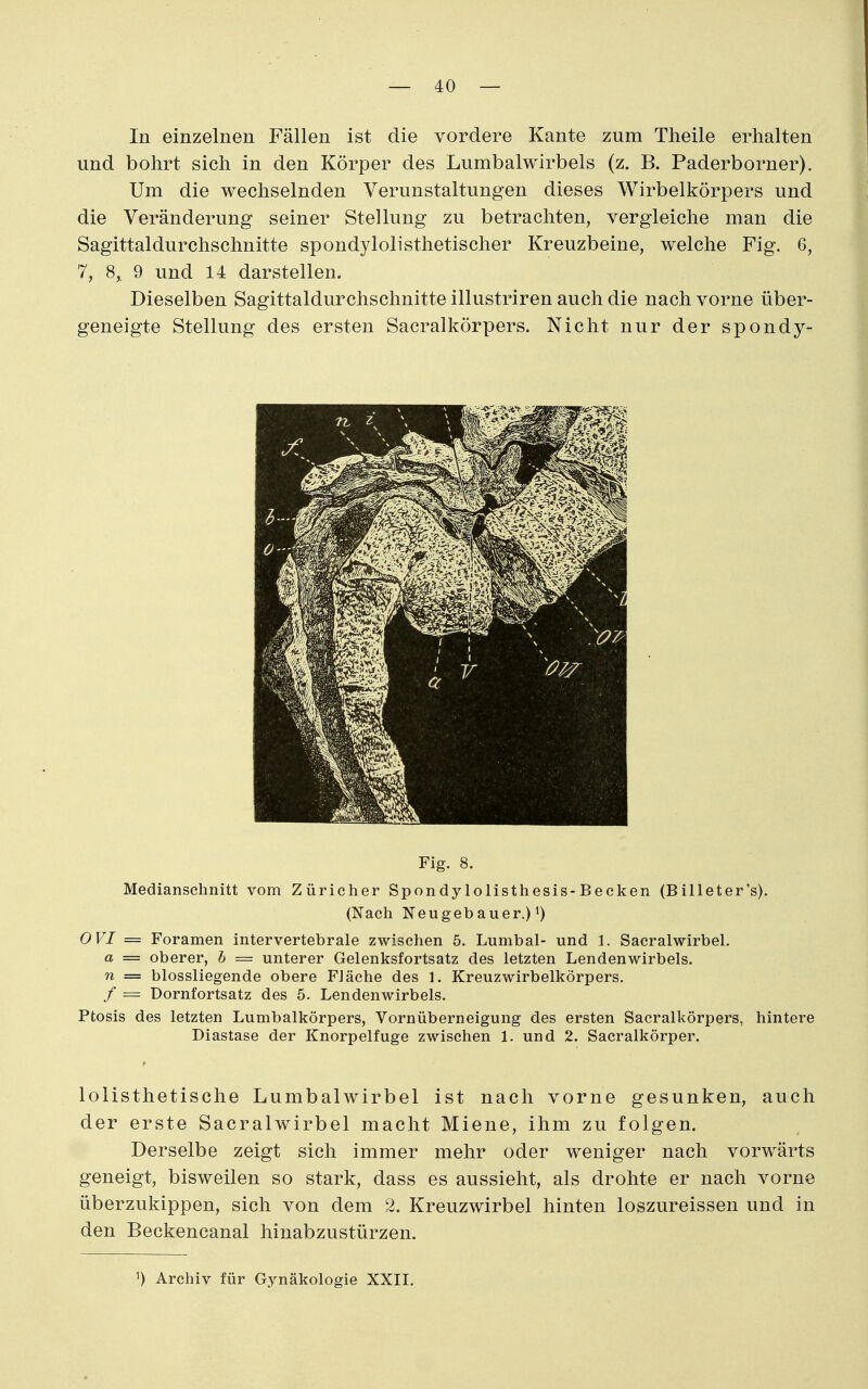 In einzelnen Fällen ist die vordere Kante zum Theile erhalten und bohrt sich in den Körper des Lumbalwlrbels (z. B. Paderborner). Um die wechselnden Verunstaltungen dieses Wirbelkörpers und die Veränderung seiner Stellung zu betrachten, vergleiche man die Sagittaldurchschnitte spondylolisthetischer Kreuzbeine, welche Fig. 6, 7, 8,. 9 und 14 darstellen. Dieselben Sagittaldurchschnitte illustriren auch die nach vorne über- geneigte Stellung des ersten Sacralkörpers. Nicht nur der spondy- Fig. 8. Medianschnitt vom Züricher Spondylolisthesis-Becken (Billeter's). (Nach Neugeb auer.) ^) OVI = Foramen intervertebrale zwischen 5. Lumbal- und 1. Sacralwirbel. a = oberer, h = unterer Gelenksfortsatz des letzten Lendenwirbels. n = biossliegende obere Fläche des 1. Kreuzwirbelkörpers. / = Dornfortsatz des 5. Lendenwirbels. Ptosis des letzten Lumbaikörpers, Vornüberneigung des ersten Sacralkörpers, hintere Diastase der Knorpelfuge zwischen 1. und 2. Sacralkörper. lolisthetische Lumbaiwirbel ist nach vorne gesunken, auch der erste Sacralwirbel macht Miene, ihm zu folgen. Derselbe zeigt sich immer mehr oder weniger nach vorwärts geneigt, bisweilen so stark, dass es aussieht, als drohte er nach vorne überzukippen, sich von dem 2. Kreuzwirbel hinten loszureissen und in den Beckencanal hinabzustürzen. ^) Archiv für Gynäkologie XXII.