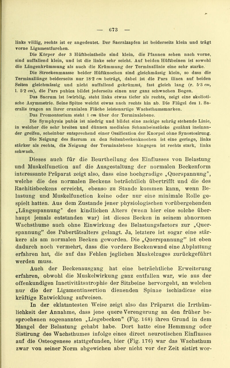 links völlig, rechts ist er angedeutet. Der Saeralzapfen ist beiderseits klein und trägt vorne Ligamentfurchen. Die Körper der 3 Hüftbeintheile sind klein, die Pfannen sehen nach vorne, sind auffallend klein, und ist die linke sehr seicht. Auf beiden Hüftbeinen ist sowohl die Längenkrümmung als auch die Krümmung der Terminallinie eine sehr starke. Die Streckenmaasse beider Hüftknochen sind gleichmässig klein, so dass die Terminallänge beiderseits nur 18'2 cm beträgt, dabei ist die Pars iliaca auf beiden Seiten gleichmässig und nicht auffallend gekrümmt, fast gleich lang (r. 5*3 cm, 1. 5*2 cm), die Pars pubica bildet jederseits einen nur ganz schwachen Bogen. Das Sacrum ist öwirblig, steht links etwas tiefer als rechts, zeigt eine skolioti- sche Asymmetrie. Seine Spitze weicht etwas nach rechts hin ab. Die Flügel des 1. Sa- cralis tragen an ihrer cranialen Fläche leistenartige Wachsthumsmarken. Das Promontorium steht 1 cm über der Terminalebene. Die Symphysis pubis ist niedrig und bildet eine zackige schräg stehende Linie, in welcher die sehr breiten und dünnen medialen Schambeinstücke gezähnt ineinan- der greifen, scheinbar entsprechend einer Ossification der Knorpel ohne Synostosirung. Die Neigung des Sacrum zu den Seitenbeckenknochen ist eine geringe, links stärker als rechts, die Neigung der Terminalebene hingegen ist rechts stark, links sehwach. Dieses auch für die Beurtheilung des Einflusses von Belastung und Muskelfunction auf die Ausgestaltung der normalen Beekenform interessante Präparat zeigt also, dass eine hochgradige „Querspannung, welche die des normalen Beckens beträchtlich übertrifft und die des Rachitisbeckons erreicht, ebenso zu Stande kommen kann, wenn Be- lastung und Muskelfunction keine oder nur eine minimale Rolle ge- spielt hatten. Aus dem Zustande jener physiologischen vorübergehenden „Längsspannung des kindlichen Alters (wenn hier eine solche über- haupt jemals entstanden war) ist dieses Becken in seinem abnormen Wachsthume auch ohne Einwirkung des Belastungsfactors zur „Quer- spannung des Pubertätsalters gelangt. Ja, letztere ist sogar eine stär- kere als am normalen Becken geworden. Die „Querspannung ist eben dadurch noch vermehrt, dass die vordere Beckenwand eine Abplattung erfahren hat, die auf das Fehlen jeglichen Muskelzuges zurückgeführt werden muss. Auch der Beckenausgang hat eine beträchtliche Erweiterung erfahren, obwohl die Muskelwirkung ganz entfallen war, wie aus der offenkundigen Inactivitätsatrophie der Sitzbeine hervorgeht, an welchen nur die der Ligamentinsertion dienenden Spinae ischiadicae eine kräftige Entwicklung aufweisen. In der eklatantesten Weise zeigt also das Präparat die Irrthüm- lichkeit der Annahme, dass jene quere Verengerung an den früher be- sprochenen sogenannten „Liegebecken (Fig. 168) ihren Grund in dem Mangel der Belastung gehabt habe. Dort hatte eine Hemmung oder Sistirung des Wachsthumes infolge eines direct neurotischen Einflusses auf die Osteogenese stattgefunden, hier (Fig. 176) war das Wachsthum zwar von seiner Norm abgewichen aber nicht vor der Zeit sistirt wor-