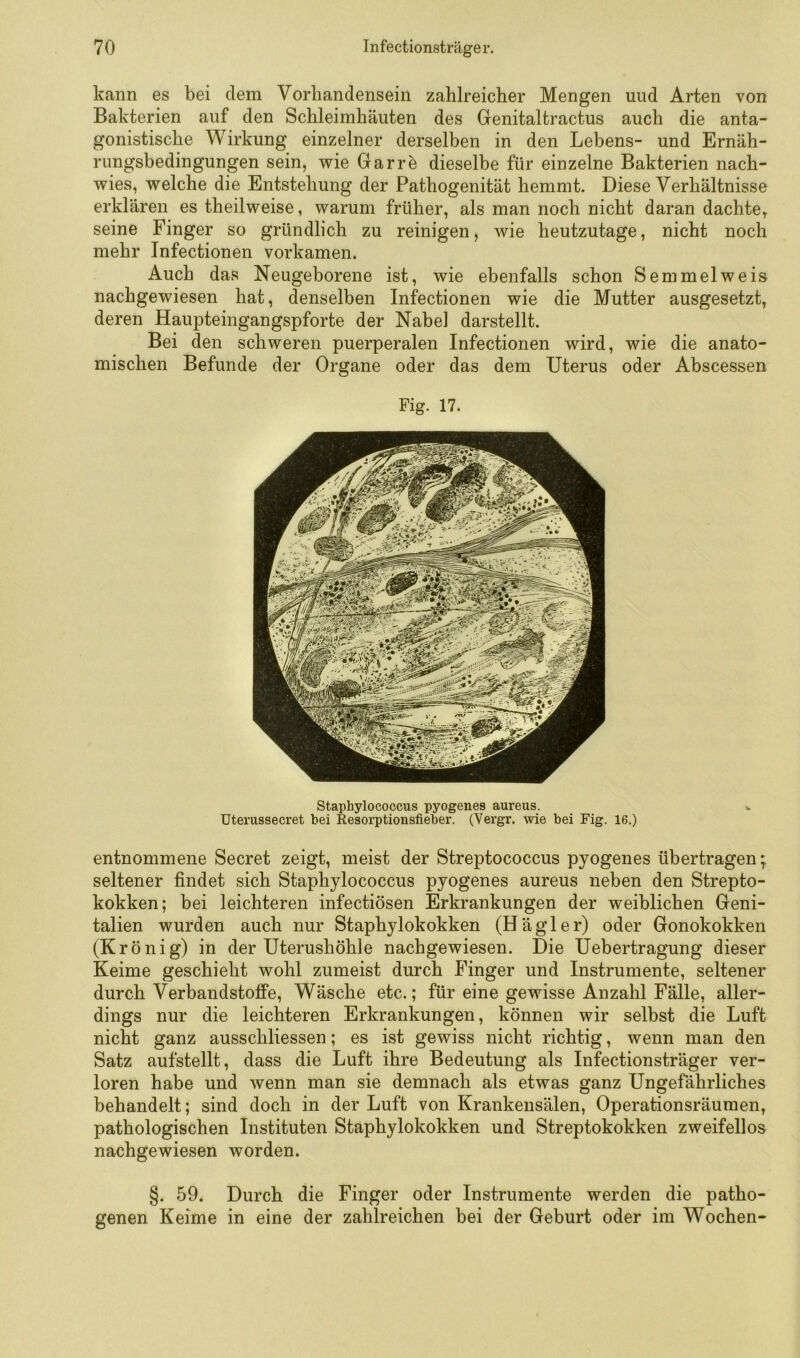 kann es bei dem Vorhandensein zahlreicher Mengen und Arten von Bakterien auf den Schleimhäuten des Genitaltractus auch die anta- gonistische Wirkung einzelner derselben in den Lehens- und Ernäh- rimgsbedingungen sein, vt^ie Garr^ dieselbe für einzelne Bakterien nach- wies, welche die Entstehung der Pathogenität hemmt. Diese Verhältnisse erklären es theilweise, warum früher, als man noch nicht daran dachte, seine Finger so gründlich zu reinigen, wie heutzutage, nicht noch mehr Infectionen vorkamen. Auch das Neugeborene ist, wie ebenfalls schon Semmelweis nachgewiesen hat, denselben Infectionen wie die Mutter ausgesetzt, deren Haupteingangspforte der Nabel darstellt. Bei den schweren puerperalen Infectionen wird, wie die anato- mischen Befunde der Organe oder das dem Uterus oder Abscessen Fig. 17. Staphylococcus pyogenes aureus. w Uterussecret bei Resorptionsfieber. (Vergr. wie bei Fig. 16.) entnommene Secret zeigt, meist der Streptococcus pyogenes übertragen; seltener findet sich Staphylococcus pyogenes aureus neben den Strepto- kokken; bei leichteren infectiösen Erkrankungen der weiblichen Geni- talien wurden auch nur Staphylokokken (Hagier) oder Gonokokken (Krönig) in der Uterushöhle nachgewiesen. Die Uebertragung dieser Keime geschieht wohl zumeist durch Finger und Instrumente, seltener durch Verbandstoffe, Wäsche etc.; für eine gewisse Anzahl Fälle, aller- dings nur die leichteren Erkrankungen, können wir selbst die Luft nicht ganz ausschliessen; es ist gewiss nicht richtig, wenn man den Satz aufstellt, dass die Luft ihre Bedeutung als Infectionsträger ver- loren habe und wenn man sie demnach als etwas ganz Ungefährliches behandelt; sind doch in der Luft von Krankensälen, Operationsräumen, pathologischen Instituten Staphylokokken und Streptokokken zweifellos nachgewiesen worden. §. 59. Durch die Finger oder Instrumente werden die patho- genen Keime in eine der zahlreichen bei der Geburt oder im Wochen-