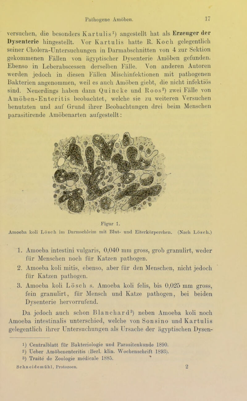 versuchen, die besonders Kartulis1) angestellt hat als Erzeuger der Dysenterie hingestellt. Vor Kartulis hatte R. Koch gelegentlich seiner Cholera-Untersuchungen in Darmabschnitten von 4 zur Sektion gekommenen Fällen von ägyptischer Dysenterie Amöben gefunden. Ebenso in Leberabscessen derselben Fälle. Von anderen Autoren werden jedoch in diesen Fällen Mischinfektionen mit pathogenen Bakterien angenommen, weil es auch Amöben giebt, die nicht infektiös sind. Neuerdings haben dann Quincke und Roos2) zwei Fälle von Am oben-Enteritis beobachtet, welche sie zu weiteren Versuchen benutzten und auf Grund ihrer Beobachtungen drei beim Menschen parasitirende Amöbenarten aufgestellt: Figur 1. Amoeba lcoli Lösch im Darmschleim mit Blut- und Eiterkörperchen. (Nach Lösch.) 1. Amoeba intestini vulgaris, 0,040 mm gross, grob granulirt, weder für Menschen noch für Katzen pathogen. 2. Amoeba koli mitis, ebenso, aber für den Menschen, nicht jedoch für Katzen pathogen. 3. Amoeba koli Lösch s. Amoeba koli felis, bis 0,025 mm gross, fein granulirt, für Mensch und Katze pathogen, bei beiden Dysenterie hervorrufend. Da jedoch auch schon Blanchard3) neben Amoeba koli noch Amoeba intestinalis unterschied, welche vonSonsino und Kartulis gelegentlich ihrer Untersuchungen als Ursache der ägyptischen Dysen- 1) Centralblatt für Bakteriologie und Parasiten künde 1890. 2) Ueber Amöbenenteritis (Berl. klin. Wochenschrift 1893). 3) Traite de Zoologie medicale 1885. Schneidern ü hl, Protozoen. 2