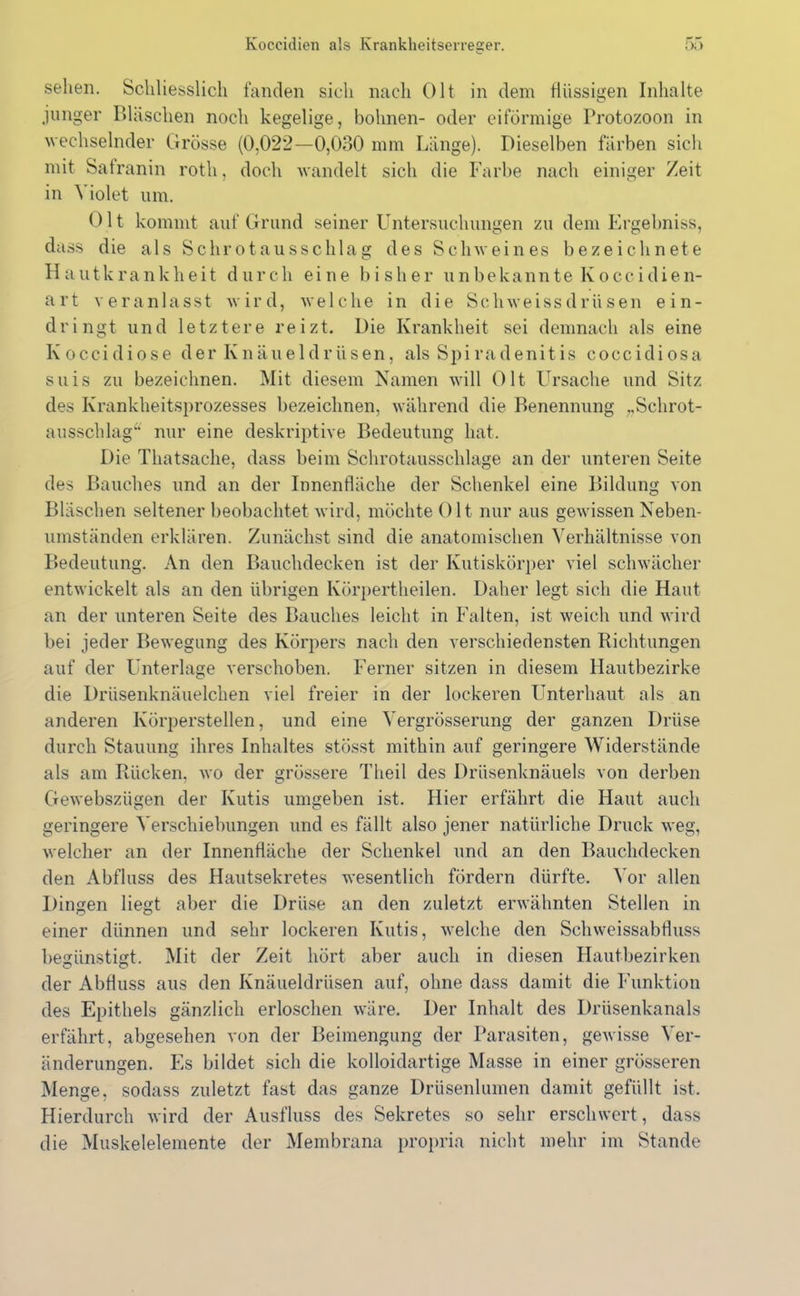 sehen. Schliesslich fanden sich nach Olt in dem flüssigen Inhalte junger Bläschen noch kegelige, höhnen- oder eiförmige Protozoon in wechselnder Grösse (0,022—0,030 mm Länge). Dieselben färben sich mit Safranin rotli, doch wandelt sicli die Farbe nach einiger Zeit in Yiolet um. Olt kommt auf Grund seiner Untersuchungen zu dem Ergehniss, dass die als Schrotausschlag des Schweines bezeichnete Hautkrankheit durch eine bisher unbekannte Koccidien- art veranlasst wird, welche in die Scliweissdriisen ein- dringt und letztere reizt. Die Krankheit sei demnach als eine Ivoccidiose der Knäueldrüsen, als Spiradenitis coccidiosa suis zu bezeichnen. Mit diesem Namen will Olt Ursache und Sitz des Krankheitsprozesses bezeichnen, während die Benennung „Schrot- ausschlag“ nur eine deskriptive Bedeutung hat. Die Thatsache, dass beim Schrotausschlage an der unteren Seite des Bauches und an der Innenfläche der Schenkel eine Bildung von Bläschen seltener beobachtet wird, möchte Olt nur aus gewissen Neben- umständen erklären. Zunächst sind die anatomischen Verhältnisse von Bedeutung. An den Bauchdecken ist der Ivutiskörper viel schwächer entwickelt als an den übrigen Körpertheilen. Daher legt sich die Haut an der unteren Seite des Bauches leicht in Falten, ist weich und wird bei jeder Bewegung des Körpers nach den verschiedensten Bichtungen auf der Unterlage verschoben. Ferner sitzen in diesem Hautbezirke die Drüsenknäuelchen viel freier in der lockeren Unterbaut als an anderen Körperstellen, und eine Yergrösserung der ganzen Drüse durch Stauung ihres Inhaltes stösst mithin auf geringere Widerstände als am Rücken, wo der grössere Theil des Drüsenknäuels von derben Gewebsziigen der Kutis umgeben ist. Hier erfährt die Haut auch geringere Verschiebungen und es fällt also jener natürliche Druck weg, welcher an der Innenfläche der Schenkel und an den Bauchdecken den Abfluss des Hautsekretes wesentlich fördern dürfte. Vor allen Dingen liegt aber die Drüse an den zuletzt erwähnten Stellen in einer dünnen und sehr lockeren Kutis, welche den Schweissabfluss begünstigt. Mit der Zeit hört aber auch in diesen Hautbezirken der Abfluss aus den Knäueldrüsen auf, ohne dass damit die Funktion des Epithels gänzlich erloschen wäre. Der Inhalt des Drüsenkanals erfährt, abgesehen von der Beimengung der Parasiten, gewisse Ver- änderungen. Es bildet sich die kolloidartige Masse in einer grösseren Menge, sodass zuletzt fast das ganze Drüsenlumen damit gefüllt ist. Hierdurch wird der Ausfluss des Sekretes so sehr erschwert , dass die Muskelelemente der Membrana propria nicht mehr im Stande