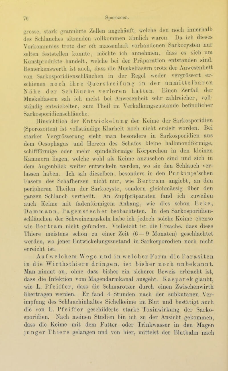 grosse, stark granulirte Zellen angehäuft, welche den noch innerhalb des Schlauches sitzenden vollkommen ähnlich waren. Da ich dieses Yorkommniss trotz der oft massenhaft vorhandenen Sarkocysten nur selten feststellen konnte, möchte ich annehmen. dass es sich um Kunstprodukte handelt, welche bei der Präparation entstanden sind. Bemerkenswerth ist auch, dass die Muskelfasern trotz der Anwesenheit von Sarkosporidienschläuchen in der Regel weder vergrössert er- schienen noch ihre Querstreifung in der unmittelbaren Nähe der Schläuche verloren hatten. Einen Zerfall der Muskelfasern sah ich meist bei Anwesenheit sehr zahlreicher, voll- ständig entwickelter, zum Theil im Yerkalkungszustande befindlicher Sarkosporidienschläuche. Hinsichtlich der Entwickelung der Keime der Sarkosporidien (Sporozoiten) ist vollständige Klarheit noch nicht erzielt worden. Bei starker Yergrösserung sieht man besonders in Sarkosporidien aus dem Oesophagus und Herzen des Schafes kleine halbmondförmige, schiffförmige oder mehr spindelförmige Körperchen in den kleinen Kammern liegen, welche wohl als Keime anzusehen sind und sich in dem Augenblick weiter entwickeln werden, wo sie den Schlauch ver- lassen haben. Ich sah dieselben, besonders in den Purkinje’schen Fasern des Schafherzen nicht nur, wie Bertram angiebt, an den peripheren Theilen der Sarkocyste, sondern gleichmässig über den ganzen Schlauch vertheilt. An Zupfpräparaten fand ich zuweilen auch Keime mit fadenförmigem Anhang, wie dies schon Ecke, Dam mann, Pagen st ec her beobachteten. In den Sarkosporidien- schläuchen der Schweinemuskeln habe ich jedoch solche Keime ebenso wie Bertram nicht gefunden. Yielleicht ist die Ursache, dass diese Thiere meistens schon zu einer Zeit (6 — 9 Monaten) geschlachtet werden, wo jener Entwickelungszustand in Sarkosporodien noch nicht erreicht ist. Auf welchem Wege und in welcher Form die Parasiten in die Wirthsthiere dringen, ist bisher noch unbekannt. Man nimmt an, ohne dass bisher ein sicherer Beweis erbracht ist, dass die Infektion vom Magendarmkanal ausgeht. Kasparek glaubt, wie L. Pfeiffer, dass die Schmarotzer durch einen Zwischenwirth übertragen werden. Er fand 4 Stunden nach der subkutanen Ver- impfung des Schlauchinhaltes Sichelkeime im Blut und bestätigt auch die von L. Pfeiffer geschilderte starke Toxinwirkung der Sarko- sporidien. Nach meinen Studien bin ich zu der Ansicht gekommen, dass die Keime mit dem Futter oder Trinkwasser in den Magen junger Thiere gelangen und von hier, mittelst der Blutbahn nach