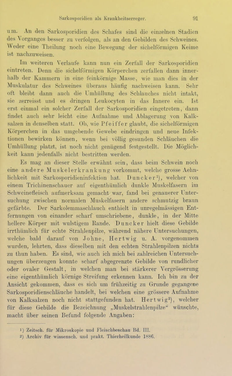 um. An den Sarkosporidien des Schafes sind die einzelnen Stadien des Vorganges besser zu verfolgen, als an den Gebilden des Schweines. Weder eine Theilung noch eine Bewegung der sichelförmigen Keime ist nachzuweisen. Im weiteren Verlaufe kann nun ein Zerfall der Sarkosporidien eintreten. Denn die sichelförmigen Körperchen zerfallen dann inner- halb der Kammern in eine feinkörnige Masse, wie man dies in der Muskulatur des Schweines überaus häufig nachweisen kann. Sehr oft bleibt dann auch die Umhüllung des Schlauches nicht intakt, sie zerreisst und es dringen Leukocyten in das Innere ein. Ist erst einmal ein solcher Zerfall der Sarkosporidien eingetreten, dann findet auch sehr leicht eine Aufnahme und Ablagerung von Kalk- salzen in denselben statt. Ob, wie Pfeiffer glaubt, die sichelförmigen Körperchen in das umgebende Gewebe eindringen und neue Infek- tionen bewirken können, wenn bei völlig gesunden Schläuchen die Umhüllung platzt, ist noch nicht genügend festgestellt. Die Möglich- keit kann jedenfalls nicht bestritten werden. Pis mag an dieser Stelle erwähnt sein, dass beim Schwein noch eine andere Muskelerkrankung vorkommt, welche grosse Aelm- lichkeit mit Sarkosporidieninfektion hat. Duncker1), welcher von einem Trichinenschauer auf eigentümlich dunkle Muskelfasern im Schweinefleisch aufmerksam gemacht war, fand bei genauerer Unter- suchung zwischen normalen Muskelfasern andere schmutzig braun gefärbte. Der Sarkolemmaschlauch enthielt in unregelmässigen Ent- fernungen von einander scharf umschriebene, dunkle, in der Mitte hellere Körper mit wulstigem Rande. Duncker hielt diese Gebilde irrtümlich für echte Strahlenpilze, während nähere Untersuchungen, welche bald darauf von Johne, IJertwig u. A. vorgenommen wurden, lehrten, dass dieselben mit den echten Strahlenpilzen nichts zu thun haben. Es sind, wie auch ich mich bei zahlreichen Untersuch- ungen überzeugen konnte scharf abgegrenzte Gebilde von rundlicher oder ovaler Gestalt, in welchen man bei stärkerer Vergrösserung eine eigentümlich körnige Streifung erkennen kann. Ich bin zu der Ansicht gekommen, dass es sich um frühzeitig zu Grunde gegangene Sarkosporidienschläuche handelt, bei welchen eine grössere Aufnahme von Kalksalzen noch nicht stattgefunden hat. Hertwig2), welcher für diese Gebilde die Bezeichnung „Muskelstrahlenpilze“ wünschte, macht über seinen Befund folgende Angaben: 1) Zeitsch. für Mikroskopie und Fleischbeschau Bd. III. 2) Archiv für wissensch. und prakt. Thierheilkunde 1886.