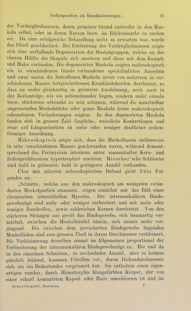der \ ordergliedmassen, deren primärer Grund entweder in den Mus- keln selbst, oder in deren Nerven bezw. im Rückenmarke zu suchen sei. Da eine erfolgreiche Behandlung nicht zu erwarten war, wurde das Pferd geschlachtet. Bei Entfernung der Vordergliedmassen zeigte sich eine auffallende Degeneration der Muskelgruppen, welche an der oberen Hälfte der Skapula sich ansetzen und diese mit dem Rumpfe und Halse verbinden. Die degenerirten Muskeln zeigten makroskopisch ein in verschiedenem Grade vorhandenes speckähnliches Aussehen und zwar waren die betroffenen Muskeln meist von mehreren in ver- schiedenem Maasse fortgeschrittenen Krankheitsherden durchsetzt, so dass sie weder gleichzeitig in grösserer Ausdehnung, noch auch in der Reihenfolge, wie sie nebeneinander liegen, sondern mehr einzeln bezw. stückweise erkrankt zu sein schienen, während die unmittelbar angrenzenden Muskelstücke oder ganze Muskeln keine makroskopisch erkennbaren Veränderungen zeigten. In den degenerirten Muskeln fänden sich in grosser Zahl längliche, weissliche Konkretionen und zwar auf Längsschnitten in mehr oder weniger deutlicher reihen- iormiger Anordnung. Mikroskopisch zeigte sich, dass die Muskelfasern stellenweise in sehr verschiedenem Maasse geschwunden waren, während dement- sprechend das Perimysium internum unter massenhafter Kern- und Zellenproliferation hypertrophirt erschien. Miesch er’sehe Schläuche sind bald in grösserer, bald in geringerer Anzahl vorhanden. Über den näheren mikroskopischen Befund giebt Pütz Fol- gendes an: ,,Schnitte, welche aus den makroskopisch am wenigsten verän- derten Muskelpartien stammen, zeigen zunächst nur das Bild einer chronischen interstitiellen Myositis. Die intermuskulären Binde- gewebszüge sind mehr oder weniger verbreitert und mit mehr oder weniger Rundzellen, sowie zahlreichen Kernen durchsetzt. Von den stärkeren Strängen aus greift das Bindegewebe, sich baumartig ver- ästelnd, zwischen die Muskelbündel hinein, sich immer mehr ver- jüngend. Die zwischen dem gewucherten Bindegewebe liegenden Muskelfäden sind zum grossen Theil in ihrem Durchmesser verkleinert. Die Verkleinerung desselben nimmt im Allgemeinen proportional der Verbreiterung der intermuskulären Bindegewebszüge zu. Hie und da in den einzelnen Schnitten, in wechselnder Anzahl, aber in keinem gänzlich fehlend, kommen Fibrillen vor, deren Dickendurchmesser sich um ein Bedeutendes vergrössert hat. Sie enthalten einen eigen- artigen runden, durch Hämatoxylin blaugefärbten Körper, der von einer scharf konturirten Kapsel oder Haut umschlossen ist und im 7 Schneideinühl, Protozoen.
