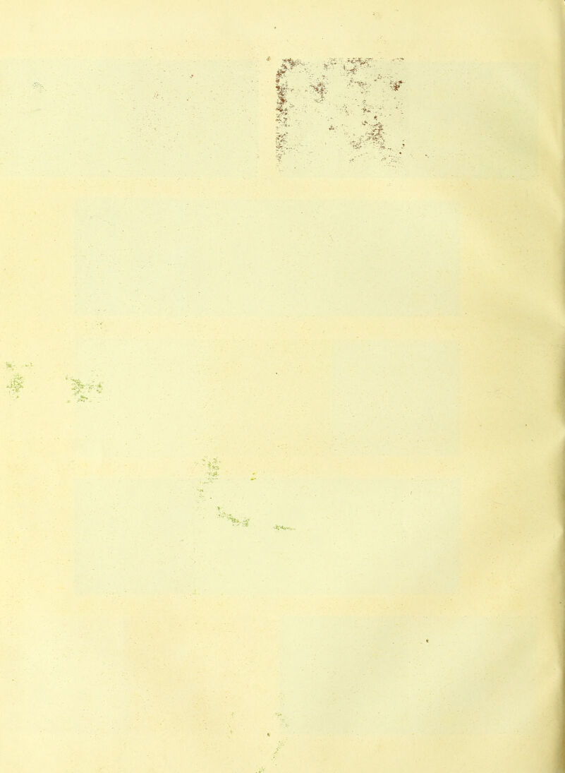 . tritt?. V?' . * r ‘