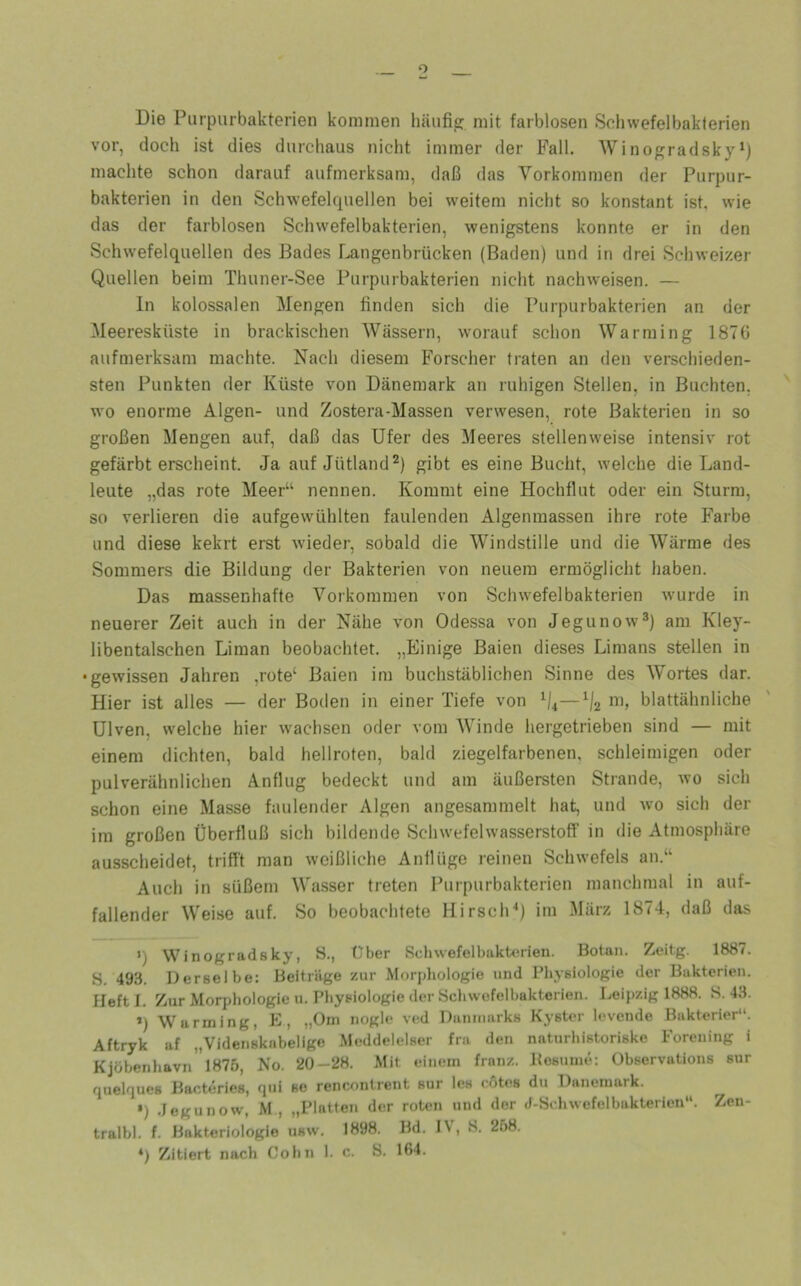 Die Purpurbakterien kommen häufig mit farblosen Schwefelbakterien vor, doch ist dies durchaus nicht immer der Fall. Winogradsky machte schon darauf aufmerksam, daß das Vorkommen der Purpur- bakterien in den Schwefelquellen bei weitem nicht so konstant ist, wie das der farblosen Schwefelbakterien, wenigstens konnte er in den Schwefelquellen des Bades Langenbrücken (Baden) und in drei Schweizer Quellen beim Thuner-See Purpurbakterien nicht nachweisen. — ln kolossalen Mengen finden sich die Purpurbakterien an der Meeresküste in brackischen Wässern, worauf schon Warming 187G aufmerksam machte. Nach diesem Forscher traten an den verschieden- sten Punkten der Küste von Dänemark an ruhigen Stellen, in Buchten, wo enorme Algen- und Zostera-Massen verwesen, rote Bakterien in so großen Mengen auf, daß das Ufer des Meeres stellenweise intensiv rot gefärbterscheint. Ja auf Jütland^) gibt es eine Bucht, welche die Land- leute „das rote Meer“ nennen. Kommt eine Hochflut oder ein Sturm, so verlieren die aufgewühlten faulenden Algenmassen ihre rote Farbe und diese kekrt erst wieder, sobald die Windstille und die Wärme des Sommers die Bildung der Bakterien von neuem ermöglicht haben. Das massenhafte Vorkommen von Schwefelbakterien wurde in neuerer Zeit auch in der Nähe von Odessa von Jegunow^) am Kley- libentalschen Liman beobachtet. „Einige Baien dieses Limans stellen in •gewissen Jahren ,rote‘ Baien im buchstäblichen Sinne des Wortes dar. Hier ist alles — der Boden in einer Tiefe von ^4—blattähnliche Ulven, welche hier w'achsen oder vom Winde hergetrieben sind — mit einem dichten, bald hellroten, bald ziegelfarbenen, schleimigen oder pulverähnlichen Anflug bedeckt und am äußersten Strande, wo sich schon eine Masse faulender Algen angesammelt hat, und wo sich der im großen Überfluß sich bildende Schwefelwasserstoff in die Atmosphäre ausscheidet, trifft man weißliche Anflüge reinen Schwefels an.“ Auch in süßem Wasser treten Purpurbakterien manchmal in auf- fallender Weise auf. So beobachtete Hirsch'*) im März 1874, daß das ') Winogradsky, S., über Schwefelbaktx:‘rien. Botan. Zeitg. 1887. 8. 493. Derselbe: Beitrüge zur Morphologie und Physiologie der Bakterien. Heft I. Zur Morphologie u. Physiologie der 8chwofelbakterien. Leipzig 1888. S. 43. *) Warming, E, „Om nogle ved Danmarks KysUu- levende Bakterier“. Aftryk af „Videnskabelige .Meddelelser fra den naturhistoriske Forening i Kjöbenhavn”l875, No. 20-28. Mit einem franz. Bosume; übservations sur quelques Baoteries, qui se rencontrent sur les cötos du Dänemark. •) .Jegunow, M , „Platten der roten und der d-Sehwefelbakterien“. Zen- tralbl. f. Bakteriologie usw. 1898. Bd. IV, 8. 258. *) Zitiert nach Cohn 1. c. S. 164.