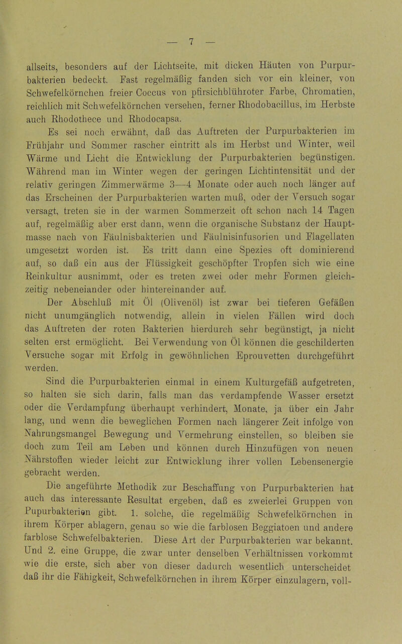 allseits, besonders auf der Lichtseite, mit dicken Häuten von Purpur- bakterien bedeckt. Fast regelmäßig fanden sich vor ein kleiner, von Schwefelkörnchen freier Coccus von pfirsichblühroter Farbe, Chromatien, reichlich mit Schwefelkörnchen versehen, ferner Rhodobacillus, im Herbste auch Rhodothece und Rhodocapsa. Es sei noch erwähnt, daß das Auftreten der Purpurbakterien im Frühjahr und Sommer rascher eintritt als im Herbst und Winter, weil Wärme und Licht die Entwicklung der Purpurbakterien begünstigen. AVährend man im Winter wegen der geringen Lichtintensität und der relativ geringen Zimmerwärme 3—^4 Monate oder auch noch länger auf das Erscheinen der Purpurbakterien warten muß, oder der Yersuch sogar versagt, treten sie in der warmen Sommerzeit oft schon nach 14 Tagen auf, regelmäßig aber erst dann, wenn die organische Substanz der Haupt- masse nach von Fäulnisbakterien und Fäulnisinfusorien und Flagellaten umgesetzt worden ist. Es tritt dann eine Spezies oft dominierend auf, so daß ein aus der Flüssigkeit geschöpfter Tropfen sich wie eine Reinkultur ausnimmt, oder es treten zwei oder mehr Formen gleich- zeitig nebeneiander oder hintereinander auf. Der Abschluß mit Öl (Olivenöl) ist zwar bei tieferen Gefäßen nicht unumgänglich notwendig, allein in vielen Fällen wird doch das Auftreten der roten Bakterien hierdurch sehr begünstigt, ja nicht selten erst ermöglicht. Bei Yei’wendung von Öl können die geschilderten Versuche sogar mit Erfolg in gewöhnlichen Eprouvetten durchgeführt werden. Sind die Purpurbakterien einmal in einem Kulturgefäß aufgetreten, so halten sie sich darin, falls man das verdampfende Wasser ersetzt oder die Verdampfung überhaupt verhindert, Monate, ja über ein Jahr lang, und wenn die beweglichen Formen nach längerer Zeit infolge von Nahrungsmangel Bewegung und Vermehrung einstellen, so bleiben sie doch zum Teil am Leben und können durch Hinzufügen von neuen Nährstoffen wieder leicht zur Entwicklung ihrer vollen Lebensenergie gebracht werden. Die angeführte Methodik zur Beschaffung von Purpurbakterien hat auch das interessante Resultat ergeben, daß es zweierlei Gruppen von Pupurbakterisn gibt. 1. solche, die regelmäßig Schwefelkörnchen in ihrem Körper ablagern, genau so wie die farblosen Beggiatoen und andere farblose Schwefelbakterien. Diese Art der Purpurbakterien war bekannt. Und 2. eine Gruppe, die zwar unter denselben Verhältnissen vorkommt wie die erste, sich aber von dieser dadurch wesentlich unterscheidet daß ihr die Fähigkeit, Schwefelkörnchen in ihrem Körper einzulagern, voll-