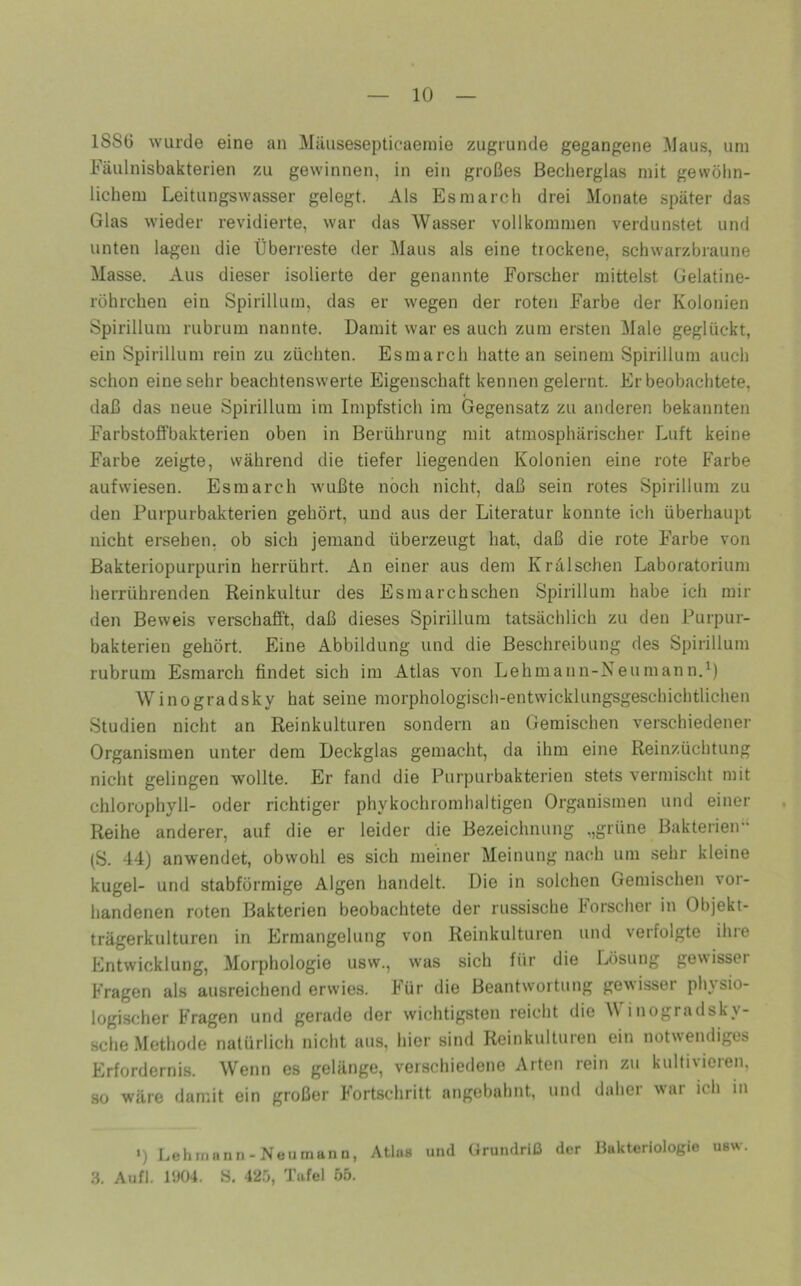 ISSG wurde eine an Mäusesepticaemie zugrunde gegangene Maus, um Fäulnisbakterien zu gewinnen, in ein großes Becherglas mit gewöhn- lichem Leitungswasser gelegt. Als Esmarch drei Monate später das Glas wieder revidierte, war das Wasser vollkommen verdunstet und unten lagen die Überreste der Maus als eine trockene, schwarzbiaune Masse. Aus dieser isolierte der genannte Forscher mittelst Gelatine- rührchen ein Spirillum, das er wegen der roten Farbe der Kolonien Spirillum rubrum nannte. Damit war es auch zum ersten Male geglückt, ein Spirillum rein zu züchten. Esmarch hatte an seinem Spirillum auch schon eine sehr beachtenswerte Eigenschaft kennen gelernt. Er beobachtete, daß das neue Spirillum im Impfstich im Gegensatz zu anderen bekannten Farbstoffbakterien oben in Berührung mit atmosphärischer Luft keine Farbe zeigte, während die tiefer liegenden Kolonien eine rote B^arbe aufwiesen. Esmarch wußte noch nicht, daß sein rotes Spirillum zu den Purpurbakterien gehört, und aus der Literatur konnte icli überhaupt nicht ersehen, ob sich jemand überzeugt hat, daß die rote B'arbe von Bakteriopurpurin herrührt. An einer aus dem Krälschen Laboratorium herrührenden Reinkultur des Esmarchschen Spirillum habe ich mil- den Beweis verschafft, daß dieses Spirillum tatsächlich zu den Purpur- bakterien gehört. Eine Abbildung und die Beschreibung des Spirillum rubrum Esmarch findet sich im Atlas von Lehmann-Neumann. Winogradsky hat seine morphologisch-entwicklungsgeschichtlichen Studien nicht an Reinkulturen sondern an Gemischen verschiedener Organismen unter dem Deckglas gemacht, da ihm eine Reinzüchtung nicht gelingen wollte. Er fand die Purpurbakterien stets vermischt mit Chlorophyll- oder richtiger phykochromhaltigen Organismen und einer Reihe anderer, auf die er leider die Bezeichnung „grüne Bakterien*‘ (S. 44) anwendet, obwohl es sich meiner Meinung nach um sehr kleine kugel- und stabförmige Algen handelt. Die in solchen Gemischen vor- handenen roten Bakterien beobachtete der russische B’orschor in Objekt- trägerkulturen in Ermangelung von Reinkulturen und verfolgte ihie Entwicklung, Morphologie usw., was sich für die Ixisung gewisser B'ragen als ausreichend erwies. B’ür die Beantwortung gewisser physio- logischer B'ragen und gerade der wichtigsten reicht die M inogradsky- sche Methode natürlich nicht aus, hier sind Reinkulturen ein notwendiges Erfordernis. Wenn es gelänge, verschiedene Arten rein zu kultivieren, so wäre damit ein großer Bortschritt angebuhnt, uiul daher war ich in ') Lehmann-Neumanii, Atlas und Grundriß der Bakteriologie usw 3. Aufl. l'J04. S, 42.0, Tafel 55.