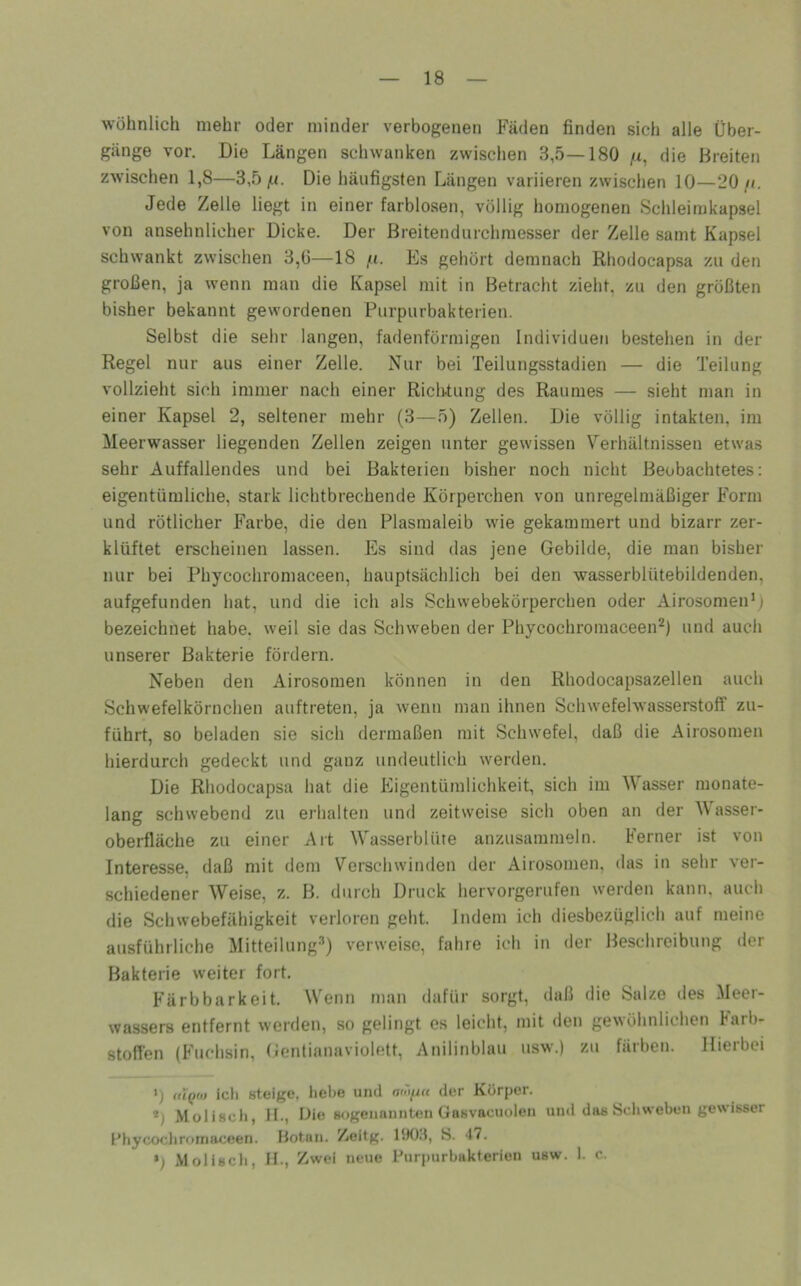 wohnlich mehr oder minder verbogenen Fäden finden sich alle Über- gänge vor. Die Längen schwanken zwischen 3,5—180 /t, die Hreiten zwischen 1,8—3,5|H. Die häufigsten Längen variieren zwischen 10—20 Jede Zelle liegt in einer farblosen, völlig homogenen Schleimkapsel von ansehnlicher Dicke. Der ßreitendurchmesser der Zelle samt Kapsel schwankt zwischen 3,6—18 /«. Es gehört demnach Rhodocapsa zu den großen, ja wenn man die Kapsel mit in Betracht zieht, zu den größten bisher bekannt gewordenen Purpurbakterien. Selbst die sehr langen, fadenförmigen Individuen bestehen in der Regel nur aus einer Zelle. Nur bei Teilungsstadien — die Teilung vollzieht sich immer nach einer Richtung des Raumes — sieht man in einer Kapsel 2, seltener mehr (3—5) Zellen. Die völlig intakten, im Meerwasser liegenden Zellen zeigen unter gewissen Verhältnissen etwas sehr Auffallendes und bei Bakterien bisher noch nicht Beobachtetes: eigentümliche, stark lichtbrechende Körperchen von unregelmäßiger Form und rötlicher Farbe, die den Plasmaleib wie gekammert und bizarr zer- klüftet erscheinen lassen. Es sind das jene Gebilde, die man bisher nur bei Phycochromaceen, hauptsächlich bei den wasserblütebildenden, aufgefunden hat, und die ich als Schwebekörperchen oder AirosomeiP) bezeichnet habe, weil sie das Schweben der Phycochromaceen^) und aucli unserer Bakterie fördern. Neben den Airosomen können in den Rhodocapsazellen auch Schwefelkörnchen auftreten, ja wenn man ihnen Schwefelwasserstoff zu- führt, so beladen sie sicli dermaßen mit Schwefel, daß die Airosomen hierdurch gedeckt und ganz undeutlich werden. Die Rliodocapsa hat die Eigentümlichkeit, sich im Wasser monate- lang schwebend zu erhalten und zeitweise sich oben an der Wasser- oberfläche zu einer Art Wasserblüre anzusarameln. Ferner ist von Interesse, daß mit dem Verschwinden der Airosomen, das in sehr ver- schiedener Weise, z. B. durch Druck hervorgerufen werden kann, auch die Schwebefähigkeit verloren geht. Indem ich diesbezüglich auf meine ausführliche Mitteilung^) verweise, fahre ich in der Beschreibung der Bakterie weiter fort. Färbbarkeit. Wenn man dafür sorgt, daß die Salze des Meer- wassers entfernt werden, so gelingt es leicht, mit den gewöhnlichen Farb- stoffen (Fuchsin, Gentianaviolett, Anilinblau usw.) zu färben. Hierbei ') iii()tii ich steige. hol)e und ai'ifttt der Körper. *) Molisch, II., Die sogenannten Oasvacuolen und das Schweben gewisser l’hywchromaceen. Botan. Zeitg. liKI.J, S. 47. Molisch, II., Zwei neue Purpurbakterien usw. 1. c.