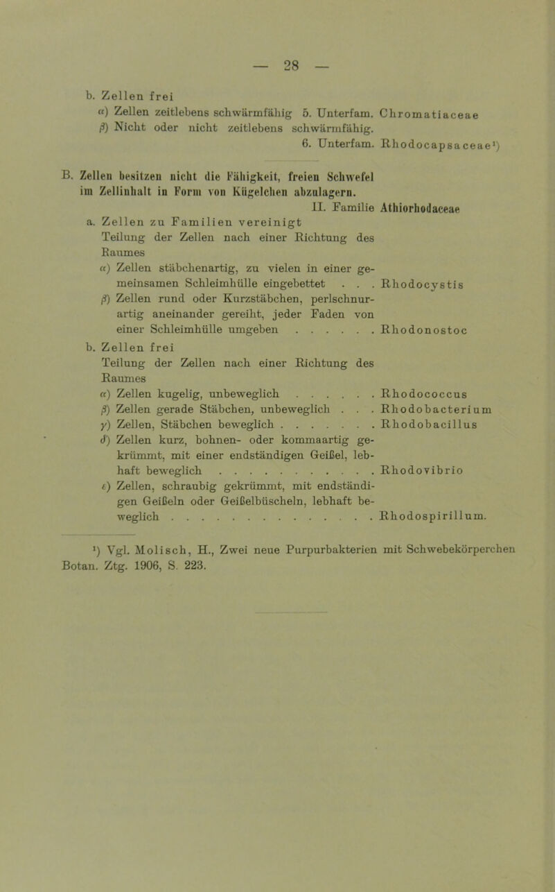 b. Zellen frei «) Zellen zeitlebens sch wärmfähig 5. Unterfam. Chromatiaceae ß) Nicht oder nicht zeitlebens schwärmfähig. 6. Unterfam. Rhodocapsaceae*) B. Zellen besitzen nicht die Fülligkeit, freien Schwefel im Zellinhalt in Form von Kügelchen abznlagern. II. Familie Athiorhodaceae a. Zellen zu Familien vereinigt Teilung der Zellen nach einer Richtung des Raumes «) Zellen stäbchenartig, zu vielen in einer ge- meinsamen Schleimhülle eingebettet . . . Rhodocystis ß) Zellen rund oder Kurzstäbchen, perlschnur- artig aneinander gereiht, jeder Faden von einer Schleimhülle umgeben Rhodonostoc b. Zellen frei Teilung der Zellen nach einer Richtung des Raumes «) Zellen kugelig, unbeweglich Rhodococcus ß) Zellen gerade Stäbchen, unbeweglich . . . Rhodobacterium y) Zellen, Stäbchen beweglich Rhodobacillus cf) Zellen kurz, höhnen- oder kommaartig ge- krümmt, mit einer endständigen Geißel, leb- haft beweglich Rhodovibrio f) Zellen, schraubig gekrümmt, mit endständi- gen Geißeln oder Geißelbüscheln, lebhaft be- weglich Rhodospirillum. *) Vgl. Moli sch, H., Zwei neue Purpurbakterien mit Schwebekörperchen Botan. Ztg. 1906, S. 223.