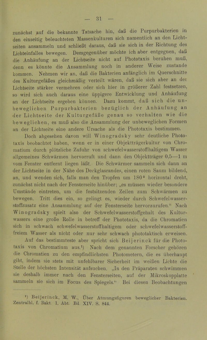 zunächst auf die bekannte Tatsache hin, daß die Purpurbakterien in den einseitig beleuchteten Massenkulturen sich namentlich an den Licht- seiten ansammeln und schließt daraus, daß sie sich in der Richtung des Lichteinfalles bewegen. Demgegenüber möchte ich aber entgegnen, daß die Anhäufung an der Lichtseite nicht auf Phototaxis beruhen muß, denn es könnte die Ansammlung noch in anderer Weise zustande kommen. Nehmen wir an, daß die Bakterien anfänglich im Querschnitte des Kulturgefäßes gleichmäßig verteilt wären, daß sie sich aber an dei Lichtseite stärker vermehren oder sich hier in größerer Zahl festsetzen, so wird sich auch daraus eine üppigere Entwicklung und Anhäufung an der Lichtseite ergeben können. Dazu kommt, daß sich die un- beweglichen Purpurbakterien bezüglich der Anhäufung an der Lichtseite der Kulturgefäße genau so verhalten wie die beweglichen, es muß also die Ansammlung der unbeweglichen Formen an der Lichtseite eine andere Ursache als die Phototaxis bestimmen. Doch abgesehen davon will Winogradsky sehr deutliche Photo- taxis beobachtet haben, Avenn er in einer Objektträgerkultur von Chro- matium durch plötzliche Zufuhr von Schwefel Wasserstoff haltigem Wasser allgemeines Schwärmen hervorruft und dann den Objektträger 0,5—1 m vorn Fenster entfernt liegen läßt. Die Schwärmer sammeln sich dann an der Lichtseite in der Nähe des Deekglasrandes, einen i’oten Saum bildend, an, und wenden sich, falls man den Tropfen um 180° horizontal dreht, zunächst nicht nach der Fenstei’seite hinüber; ,,es müssen wieder besondere Umstände eintreten, um die festsitzenden Zellen zum Schwärmen zu bewegen. Tritt dies ein, so gelingt es, wieder durch Schwefelwasser- stoffzusatz eine Ansammlung auf der Fensterseite hervorzurufen.“ Nach Winogradsky spielt also der Schwefelwasserstoffgehalt des Kultur- wassers eine große Rolle in betreff der Phototaxis, da die Chromatien sich in schwach Schwefelwasserstoff haltigem oder schwefelwasserstoff- freiem Wasser als nicht oder nur sehr schwach phototaktisch erweisen. Auf das bestimmteste aber spricht sich ßeijerin.ck für die Photo- taxis von Chromatium aus.') Nach dem genannten Forscher gehören die Chromatien zu den empfindlichsten Photometern, die es überhaupt gibt, indem sie stets mit unfehlbarer Sicherheit im weißen Lichte die Stelle der höchsten Intensität aufsuchen. „In den Präparaten schwimmen sie deshalb immer nach den Fensterseiten, auf der Mikroskopplatte sammeln sie sich im Focus des Spiegels.“ Bei diesen Beobachtungen ') Beijerinck, M. W., Über Atmungsfigui'en beweglicher Bakterien. Zentralbl. f. Bakt. 1. Abt. Bd. XIV. S. 844.