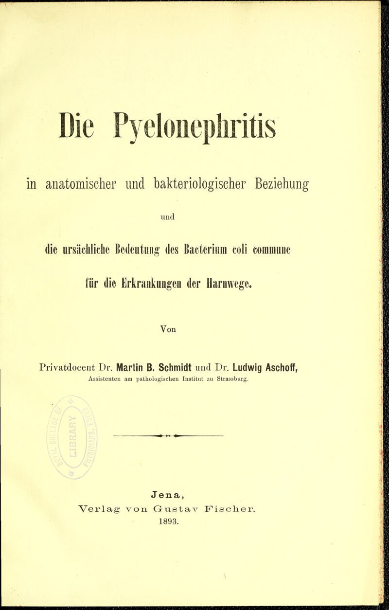 und ursäelilidie Bedeutung' des Bacteriuni coli eommune für die Erkrankungen der Harnwege. Von Privatdoceiit Dr. Martin B. Schmidt und Dr. Ludwig Aschoff, Assistenten am pathologiachen Institut zu Strassburg. \4 Jena, Verlag von Gnstav Fischer. 1893.