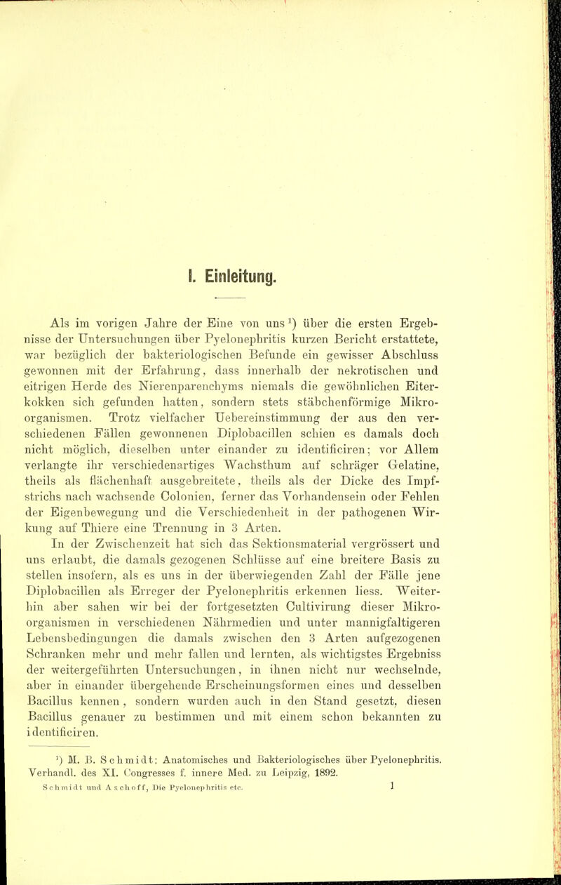 Als im vorigen Jahre der Eine von uns ^) über die ersten Ergeb- nisse der Untersnclmngen über Pyelonephritis kurzen Bericht erstattete, war bezüglich der bakteriologischen Befunde ein gewisser Abschluss gewonnen mit der Erfahrung, dass innerhalb der nekrotischen und eitrigen Herde des Nierenparenchyms niemals die gewöhnlichen Eiter- kokken sich gefunden hatten, sondern stets stäbchenförmige Mikro- organismen. Trotz vielfacher Uebereinstimmung der aus den ver- schiedenen Fällen gewonnenen Dijolobacillen schien es damals doch nicht möglich, dieselben unter einander zu identificiren; vor Allem verlangte ihr verschiedenartiges Wachsthum auf schräger Gelatine, theils als flächenhaft ausgebreitete, theils als der Dicke des Impf- strichs nach wachsende Colonien, ferner das Vorhandensein oder Fehlen der Eigenbewegung und die Verschiedenheit in der pathogenen Wir- kung auf Thiere eine Trennung in 3 Arten. In der Zwischenzeit hat sich das Sektionsmaterial vergrössert und uns erlaubt, die damals gezogenen Schlüsse auf eine breitere Basis zu stellen insofern, als es uns in der überwiegenden Zahl der Fälle jene Di^ilobacillen als Erreger der Pyelonephritis erkennen liess. Weiter- l)in aber sahen wir bei der fortgesetzten Cultivirung dieser Mikro- organismen in verschiedenen Nährmedien und unter mannigfaltigeren Lebensbedingungen die damals zwischen den 3 Arten aufgezogenen Schranken mehr und mehr fallen und lernten, als wichtigstes Ergebniss der weitergeführten Untersuchungen, in ihnen nicht nur wechselnde, aber in einander übergehende Erscheinungsformen eines und desselben Bacillus kennen , sondern wurden auch in den Stand gesetzt, diesen Bacillus genauer zu bestimmen und mit einem schon bekannten zu identificiren. M. B. Schmidt: Anatomisches und Bakteriologisches über Pyelonephritis. Verhandl. des XI. Congresses f. innere Med. zu Leipzig, 1892. Schmidt und Aschoff, Die Pyelonephritis etc. 1