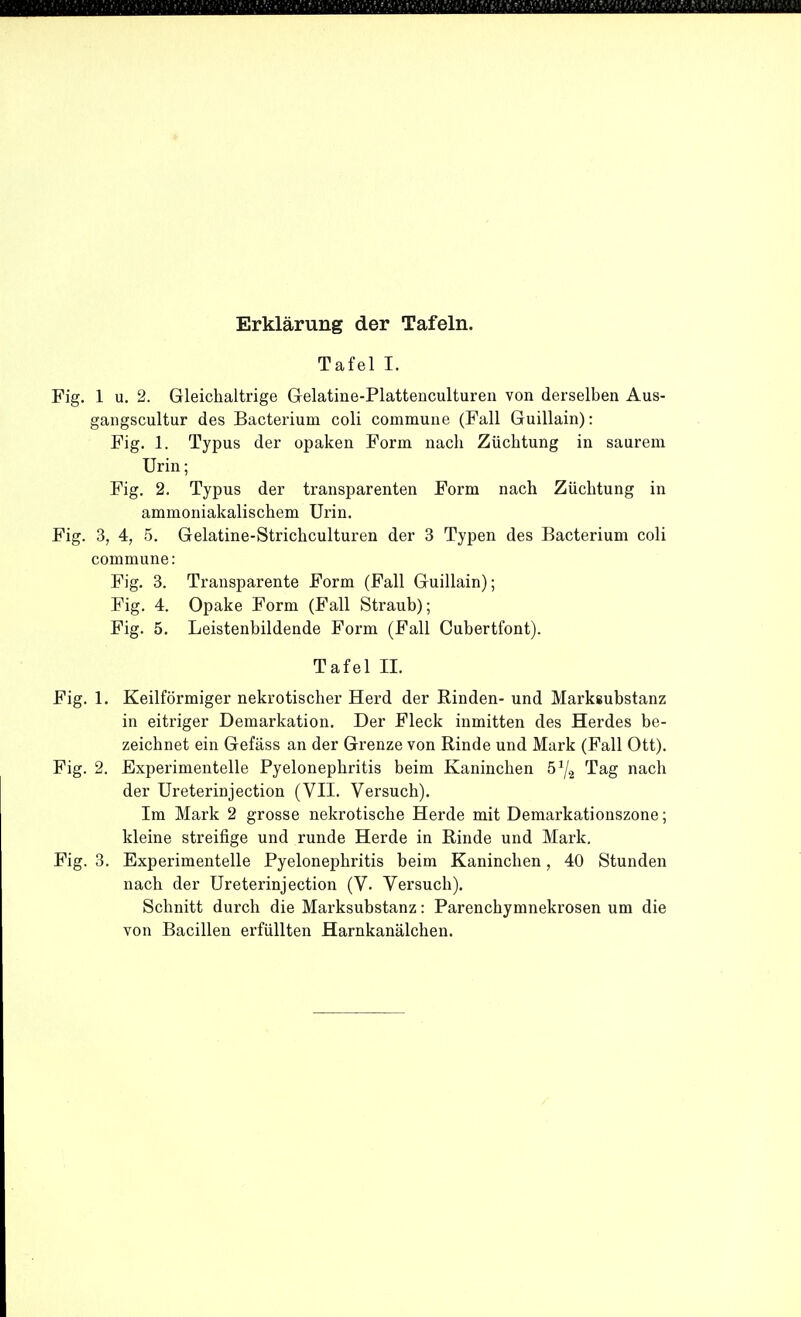 Erklärung der Tafeln. Tafel I. Fig. 1 u. 2. Gleichaltrige Gelatine-Plattenculturen von derselben Aus- gangscultur des Bacterium coli commune (Fall Guillain): Fig. 1. Typus der opaken Form nach Züchtung in saurem Urin; Fig. 2. Typus der transparenten Form nach Züchtung in ammoniakalischem Urin. Fig. 3, 4, 5. Gelatine-Strichculturen der 3 Typen des Bacterium coli commune: Fig. 3. Transparente Form (Fall Guillain); Fig. 4. Opake Form (Fall Straub); Fig. 5. Leistenbildende Form (Fall Cubertfont). Tafel II. Fig. 1. Keilförmiger nekrotischer Herd der Rinden- und Marksubstanz in eitriger Demarkation. Der Fleck inmitten des Herdes be- zeichnet ein Gefäss an der Grenze von Rinde und Mark (Fall Ott). Fig. 2. Experimentelle Pyelonephritis beim Kaninchen 5^2 Tag nach der Ureterinjection (VII. Versuch). Im Mark 2 grosse nekrotische Herde mit Demarkationszone; kleine streifige und runde Herde in Rinde und Mark. Fig. 3. Experimentelle Pyelonephritis beim Kaninchen, 40 Stunden nach der Ureterinjection (V. Versuch). Schnitt durch die Marksubstanz: Parenchymnekrosen um die von Bacillen erfüllten Harnkanälchen.