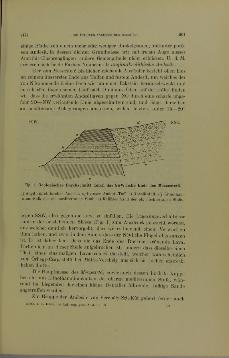 einige Bänke von einem mehr oder weniger dunkelgrauen, mitunter porö- sen Andesit, in dessen dichter Grundniasse wir mit freiem Auge ausser Anorthit-Einsprenglingen andere Gemeiigtheile nicht erblicken. U. d. M. erwiesen sich beide Farben-Nuancen als augümikrolühisehe Andesüe. Der vom Meszestetö bis hieher reichende Ausläufer besteht oben blos an seinem äussersten Ende aus Tuffen und festem Andesit, um welches der von N kommende kleine Bach wie um einen Eckstein herumschwenkt und im scharfen Bogen seinen Lauf nach 0 nimmt. Oben auf der Höhe finden wir, dass die erwähnten Andesitlaven gegen NO durch eine scharfe unge- fähr SO—NW verlaufende Linie abgeschnitten sind, und längs derselben an mediterrane Ablagerungen anstossen, welch' letztere unter 15—20^ Fig. 1. Geologischer Durchschnitt durch das SSW-liche Ende des Meszestetö. Augitmikrolithischei- Andesit. fe; Pyroxen-Andesit-Tuff. cj Rhyolilhtuff. d) Lilhothani- nium-Kalk der ob. mediterranen Stufe, e) Kalkiger Sand der ob. mediterranen Stufe. gegen SSW, also gegen die Lava zm einfallen. Die Lagerungsverhältnisse sind in der beistehenden Skizze (Fig. 1) zum Ausdruck gebracht worden, aus welcher deutlich hervorgeht, dass wir es hier mit einem Verwurf zu thun haben, und zwar in dem Sinne, dass der NO-liche Flügel abgesunken ist. Es ist daher klar, dass die das Ende des Rückens krönende Lava. Partie nicht an dieser Stelle aufgebrochen ist, sondern dass dieselbe einen Theil eines einstmaligen Lavastromes darstellt, welcher wahrscheinlich vom Örhegy-Gsapästetö bei Mätra^Verebely aus sich bis hieher erstreckt haben dürfte. Die Hauptmasse des Meszestetö, sowie auch dessen höchste Kuppe besteht aus Littiothamniumkalken der oberen mediteiranen Stufe, wäh- rend im Liegenden derselben kleine Dentalien führende, kalkige Sande angetroffen werden. Zur Gruppe der Andesite von Yereb61y-Szt.-Küt gehört ferner auch Millh. a. d. Jahrb. der kgl. ung. geol. Anst. Bd. IX. 15