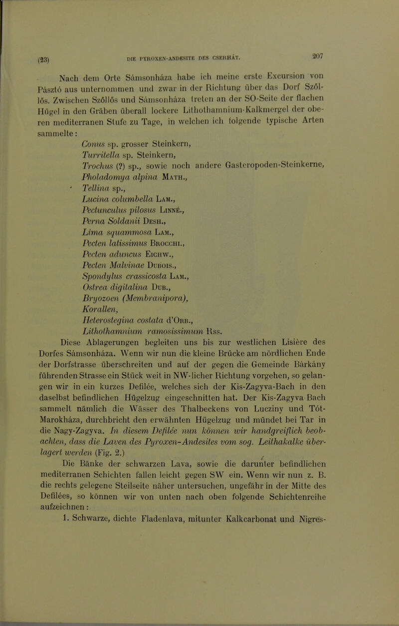 Nach dem Orte Sanisonhäza habe ich meine erste Excursion von Pdsztö aus unternommen und zwar in der Richtung über das Dorf Szöl- lös. Zwischen Szöllös und Sämsonhäza treten an der SO-Seite der flachen Hügel in den Gräben überall lockere Lithothamnium-Kalianergel der obe- ren mediterranen Stufe zu Tage, in welchen ich folgende typische Arten sammelte: Conus sp. grosser Steinkern, Turrilella sp. Steinkern, Trochiis (?) sp., sowie noch andere Gasteropoden-Steinkerne, Pholadomya alpina Math., Tellina sp., Lucina columhella Lam., Pectunculus pilosus Linne., Ferna Soldanii Desh., Lima squammosa Lam., Pecten latissimiis Brocchl, Peden aduncus Eichw., Pecten Malvinae Dubois., Spondylus crassicosta Lam., Ostrea digilalina Dub., Bryozoen (Membranipora), Korallen, Heterostegina costata d'ORB., Lithothamnium ramosissimum Kss. Diese Ablagerungen begleiten uns bis zur westlichen Lisiere des Dorfes Sämsonhäza. Wenn wir nun die kleine Brücke am nördlichen Ende der Dorfstrasse überschreiten und auf der gegen die Gemeinde Bärkäny führenden Strasse ein Stück weit in NW-lieber Richtung vorgehen, so gelan- gen wir in ein kurzes Defilee, welches sich der Kis-Zagyva-Bach in den daselbst befindlichen Hügelzug eingeschnitten hat. Der Kis-Zagyva Bach sammelt nämlich die Wässer des Thalbeckens von Lucziny und Töt- Marokhäza, durchbricht den erwähnten Hügelzug und mündet bei Tar in die Nagy-Zagyva. In diesem Deßlee nun können wir handgreiflich beob- achten, dass die Laven des Pyroxen-Andesites vom sog. Leithakalke über- lagert werden (Fig. 2.) Die Bänke der schwarzen Lava, sowie die darunter befindlichen mediterranen Schichten fallen leicht gegen SW ein. Wenn wir nun z. B. die rechts gelegene Steilseite näher untersuchen, ungefähr in der Mitte des Defilees, so können wir von unten nach oben folgende Schichtenreihe aufzeichnen: 1. Schwarze, dichte Fladenlava, mitunter Kalkcarbonat und Nigres-
