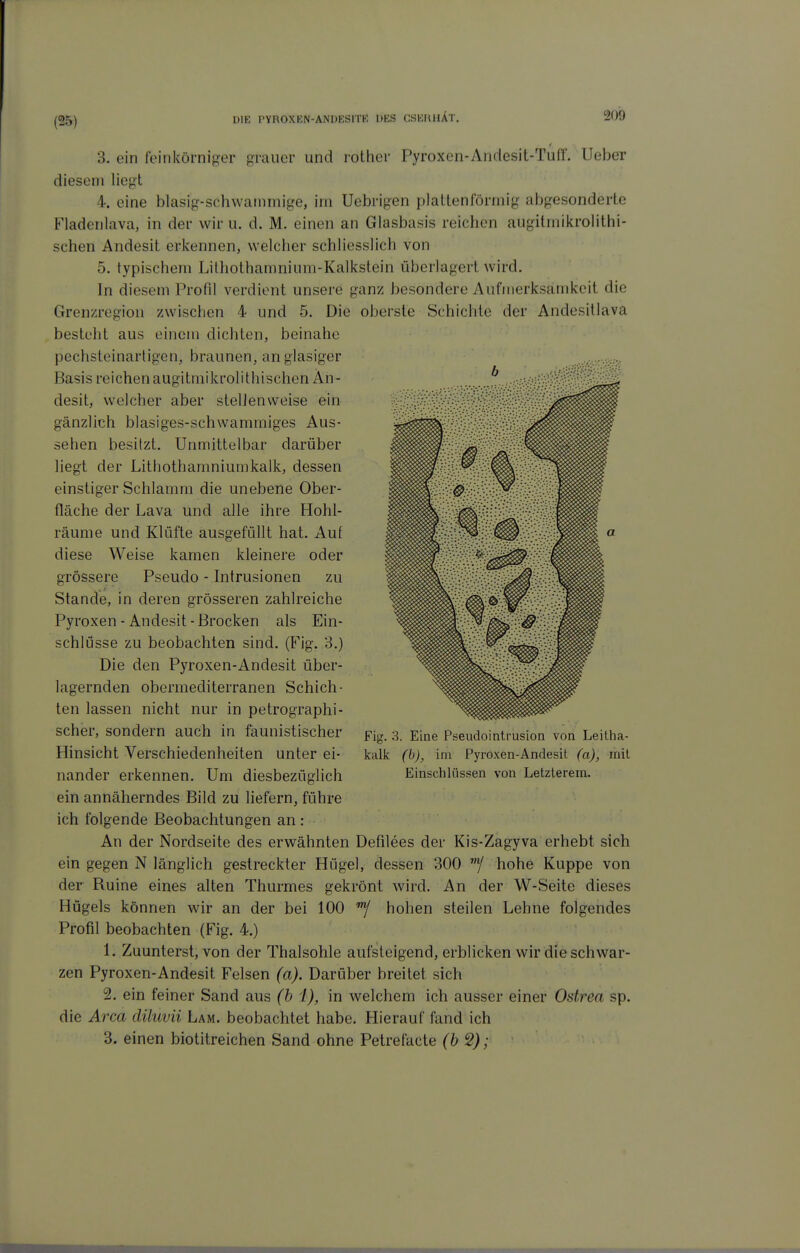 3. ein feinkörniger grauer und rother Pyroxen-Andesit-Tuff. Ueber diesem liegt 4. eine blasig-schwammige, im Uebrigen plattenförmig abgesonderte Fladenlava, in der wir u. d. M. einen an Glasbasis reichen augitiiiikrolithi- schen Andesit erkennen, welcher schliesslich von 5. typischem Lilhothamnium-Kalkstein überlagert wird. In diesem Profil verdient unsere ganz besondere Aufmerksamkeit die Grenzregion zwischen 4 und 5. Die oberste Schichte der Andesitlava besteht aus einem dichten, beinahe pechsteinartigen, braunen, an glasiger Basis reichen augitniikrolithischen An- desit, welcher aber stelJenweise ein gänzlich blasiges-schwammiges Aus- sehen besitzt. Unmittelbar darüber liegt der Lithothamniumkalk, dessen einstiger Schlamm die unebene Ober- fläche der Lava und alle ihre Hohl- räume und Klüfte ausgefüllt hat. Auf diese Weise kamen kleinere oder grössere Pseudo - Intrusionen zu Stande, in deren grösseren zahlreiche Pyroxen-Andesit-Brocken als Ein- schlüsse zu beobachten sind. (Fig. 3.) Die den Pyroxen-Andesit über- lagernden obermediterranen Schich- ten lassen nicht nur in petrographi- scher, sondern auch in faunistischer pig. 3. Eine Pseudointrusion von Leilha- Hinsicht Verschiedenheiten unter ei- kalk (h), im Pyroxen-Andesit (a), mit nander erkennen. Um diesbezüglich Einschlüssen von Letzterem, ein annäherndes Bild zu liefern, führe ich folgende Beobachtungen an : An der Nordseite des erwähnten Defilees der Kis-Zagyva erhebt sich ein gegen N länglich gestreckter Hügel, dessen 300 hohe Kuppe von der Ruine eines alten Thurmes gekrönt wird. An der W-Seite dieses Hügels können wir an der bei 100 hohen steilen Lehne folgendes Profil beobachten (Fig. 4.) 1. Zuunterst, von der Thalsohle aufsteigend, erblicken wir die schwar- zen Pyroxen-Andesit Felsen (a). Darüber breitet sich 2. ein feiner Sand aus (b l), in welchem ich ausser einer Ostrea sp. die Area cliluvii Lam. beobachtet habe. Hierauf fand ich 3. einen biotitreichen Sand ohne Petrefacte (6 2);