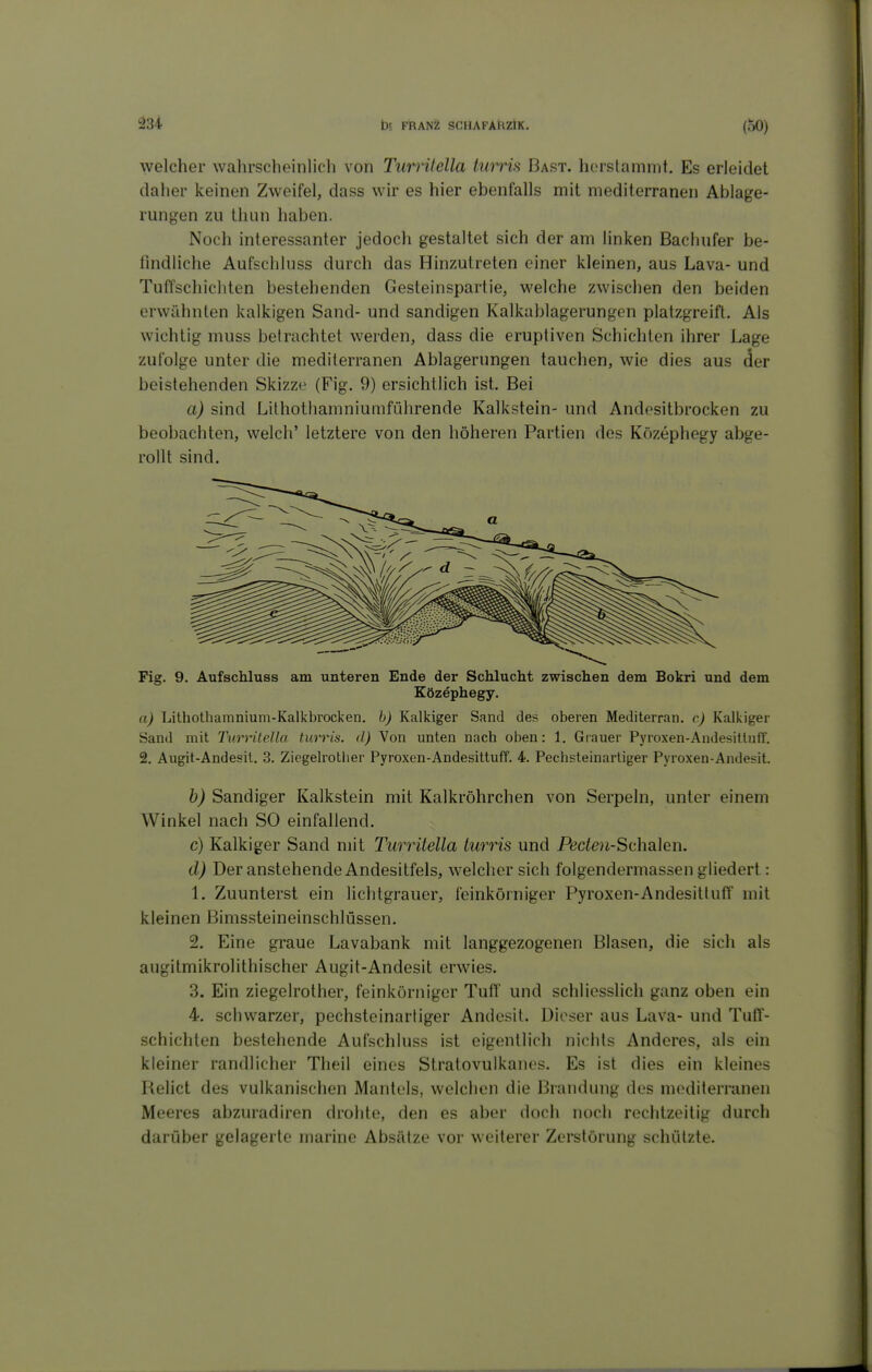 welcher wahrscheinlich von Timilella tnrriH Bast, horslammt. Es erleidet daher keinen Zweifel, dass wir es hier ebenfalls mit mediterranen Ablage- rungen zu thun haben. Noch interessanter jedoch gestaltet sich der am linken Bachufer be- findliche Aufschluss durch das Hinzutreten einer kleinen, aus Lava- und Tuffschichten bestehenden Gesteinspartie, welche zwischen den beiden erwähnten kalkigen Sand- und sandigen Kalkablagerungen platzgreift. Als wichtig muss betrachtet werden, dass die eruptiven Schichten ihrer Lage zufolge unter die mediterranen Ablagerungen tauchen, wie dies aus der beistehenden Skizze (Fig. 9) ersichtlich ist. Bei a) sind Lilhothamniumführende Kalkstein- und Andositbrocken zu beobachten, welch' letztere von den höheren Partien des Kozephegy abge- rollt sind. Fig. 9. Aufschluss am unteren Ende der Schlucht zwischen dem Bokri und dem Közephegy. a) Lilhothamnium-Kalkbrocken. h) Kalkiger Sand des oberen Mediterran, c) Kalkiger Sand mit Turrilclla turris. d) Von unten nach oben: 1, Grauer Pyroxen-Andesitlufr. 2. Augit-Andesit. 3. Ziegelrotlier Pyroxen-Andesittuff. 4. Pechsteinartiger Pyroxen-Andesit. b) Sandiger Kalkstein mit Kalkröhrchen von Serpein, unter einem Winkel nach SO einfallend. c) Kalkiger Sand mit Turritella turris und Peden-Schalcn. d) Der anstehende Andesitfels, welcher sich folgendermassen gliedert: 1. Zuunterst ein lichtgrauer, feinkörniger Pyroxen-AndesittufT mit kleinen Bimssteineinschlüssen. 2. Eine graue Lavabank mit langgezogenen Blasen, die sich als augitmikrolithischer Augit-Andesit erwies. 3. Ein ziegelrother, feinkörniger Tuff und schliesslich ganz oben ein 4. schwarzer, pechsteinartiger Andesit. Dieser aus Lava- und Tuff- schichten bestehende Aufschluss ist eigentlich nichts Anderes, als ein kleiner randlicher Theil eines Stratovulkanes. Es ist dies ein kleines Relict des vulkanischen Mantels, welchen die Brandung des mediterranen Meeres abzuradiren drohte, den es aber doch noch rechtzeitig durch darüber gelagerte marine Absätze vor weiterer Zerstörung schützte.