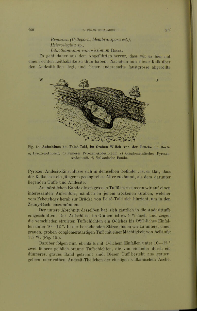 Bryozoen (Cellepora, Membranipora ed.), Ileterodegina sp., Lühothamniuni ramosissimum Reuss. Es geht daher aus dem Angefülirten hervor, dass wir es liier mit einem echten Leithakaike zu thun haben. Nachdem nun dieser Kalk über den Andesittuffen Hegt, und ferner andererseits faustgrosse abgerollte 0 Fig. 15. Aufschluss bei Felsö-Told, im Graben W-lich von der Brücke im Dorfe. a) Fyroxen-Andesit, b) Feinerer Fyroxen-Andesit-Tuff. c) Gonglomeratischer Fyroxen- Andesittuff. d) Vulkanische Bombe. Pyroxen Andesit-Einschlüsse sich in demselben befinden, ist es klar, dass der Kalkdecke ein jüngeres geologisches Alter zukömmt, als dem darunter liegenden Tuffe und Andesile. Am nördlichen Rande dieses grossen Tufffleckes stossen wir auf einen interessanten Aufschluss, nämlich in jenem trockenen Graben, welcher vom Feketehegy herab zur Brücke von Felsö-Told sich hinzieht, um in den Zsuny-Bach einzumünden. Der untere Abschnitt desselben hat sich gänzlich in die Andesittuffe eingeschnitten. Der Aufschluss im Graben ist ca. 4 hoch und zeigen die verschieden struirten Tuffschichten ein 0-liches bis OSO-liches Einfal- len unter 10—12 °. In der beistehenden Skizze finden wir zu unterst einen grauen, groben conglomeratartigen Tuff mit einer Mächtigkeit von beiläufig 1-5 »y. (Fig. 15.). Darüber folgen nun ebenfalls mit 0-lichem Einfallen unter 10—12° zwei feinere gelblich-braune Tuffschichten, die von einander durch ein dünneres, graues Band getrennt sind. Dieser Tuff besteht aus grauen, gelben oder rothen Andesit-Theilchen der einstigen vulkanischen Asche,