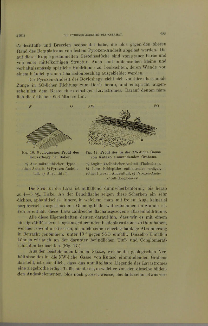 285 Andesittuffe und Breccien beobachtet habe, die blos gegen den oberen Rand des Bergplateaus von festem Pyroxen-Andesit abgelöst werden. Die -auf dieser Kuppe gesammelten Gesteinsstücke sind von grauer Farbe und von einer mittelkörnigen Structur. Auch sind in demselben kleine und verhältnissmässig spärliche Hohlräume zu beobachten, deren Wände von einem bläulich-grauen Chalcedonbeschlag ausgekleidet werden. Der Pyroxen-Andesit des Dovicshegy zieht sich von hier als schmale Zunge in SO-licher Richtung zum Dorfe herab, und entspricht augen- scheinlich dem Reste eines einstigen Lavastromes. Darauf deuten näm- lich die örtlichen Verhältnisse hin. W 0 NW SO Fig. 16. Geologisches Profil des Kopaszhegy bei Bokor. a) Augilmikrolithischer Hyper- slhen-Andesit. i»j Pyroxen-Andesit- tuff. c) Rhyolithtuff. Fig. 17. Profil des in die NW-liche Gasse von Kutaso einmündenden Grabens, a) Augitmikrolithischer Andesit (Fladenlava). b) Lose Feldspäthe enthaltender erdiger, rother Pyroxen-Andesittuff. c) Pyroxen-Ande- sittuff-Gonglomerat. Die Structur der Lava ist auffallend dünnscherbenförmig bis herab ■zu 4—5 Dicke. An der Bruchfläche zeigen diese Scherben ein sehr dichtes, aphanitisches Innere, in welchem man mit freiem Auge keinerlei porphyrisch ausgeschiedene Gemengtheile wahrzunehmen im Stande ist. Ferner enthält diese Lava zahlreiche flachausgezogene Blasenhohlräume, Alle diese Eigenschaften deuten darauf hin, dass wir es mit einem einstig zähflüssigen, langsam erstarrenden Fladenlavastromc zu thun haben, welcher sowohl im Grossen, als auch seine scherbig-bankige Absonderung in Betracht genommen, unter 10 ° gegen SSO einfällt. Dasselbe Einfallen können wir auch an den darunter befindUchen Tuff- und Conglomerat- schichten beobachten. (Fig. 17.) Aus der beistehenden kleinen Skizze, welche die geologischen Ver- hältnisse des in die NV^-liche Gasse von Kutaso einmündenden Grabens darstellt, ist ersichtlich, dass das unmittelbare Liegende des Lavastromes eine ziegeirothe erdige Tuffschichte ist, in welcher von den dieselbe bilden- den Andesitelementen blos noch grosse, weisse, ebenfalls schon etwas ver-