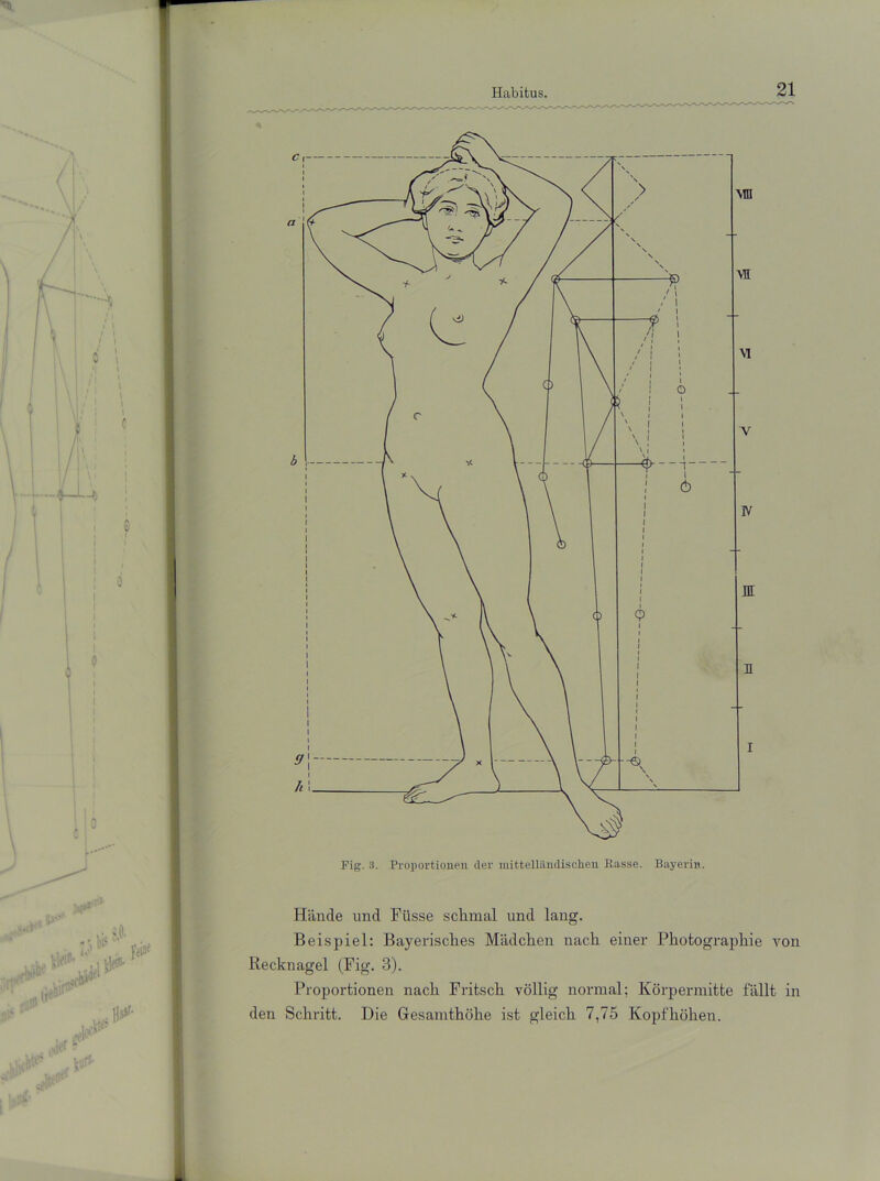 Hiincle und Fiisse schmal und lang. Beispiel: Bayerisches Mädchen nach einer Photographie von Recknagel (Fig. 3). Proportionen nach Fritsch völlig normal; Körpermitte fällt in den Schritt. Die Gesamthöhe ist gleich 7,75 Kopfhöhen.