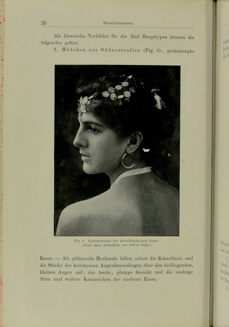 Als klassische Vorbilder für die fünf Haupttypen können die folgenden gelten. 1. Mädchen aus Südaustralien (Fig. 6), protomorphe Fig. 8. Gesichtstypus (1er mittelländischen Rasse. (Nach einer Aufnahme von Alfred Enke.) Rasse. — Als pithecoide Merkmale fallen sofort die Katarrhinie und die Stärke der knöchernen Augenbrauenbogen über den tiefliegenden, kleinen Augen auf; das breite, plumpe Gesicht und die niedrige Stirn sind weitere Kennzeichen der niederen Rasse.