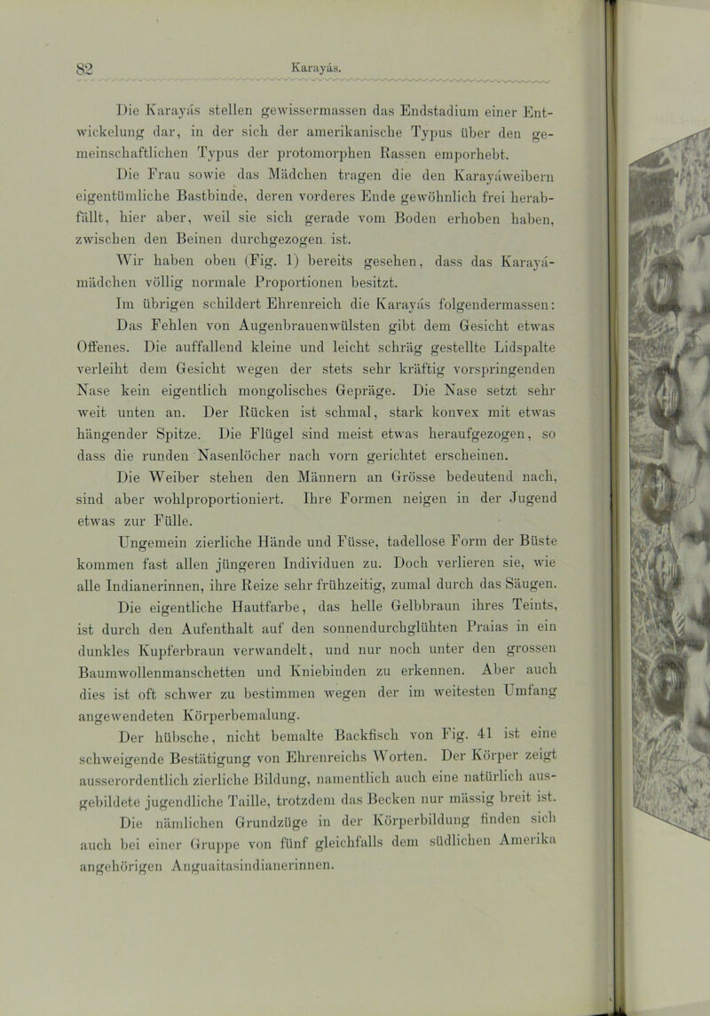 Die Karayäs stellen gewissennassen das Endstadium einer Ent- wickelung dar, in der sich der amerikanische Typus über den ge- meinschaftlichen Typus der protomorphen Rassen emporhebt. Die Frau sowie das Mädchen tragen die den Karayäweibern eigentümliche Bastbinde, deren vorderes Ende gewöhnlich frei herab- fällt, hier aber, weil sie sich gerade vom Boden erhoben haben, zwischen den Beinen durchgezogen ist. Wir haben oben (Fig. 1) bereits gesehen, dass das Karayä- mädclien völlig normale Proportionen besitzt. Im übrigen schildert Ehrenreich die Karayäs folgendermassen: Das Fehlen von Augenbrauenwülsten gibt dem Gesicht etwas Offenes. Die auffallend kleine und leicht schräg gestellte Lidspalte verleiht dem Gesicht wegen der stets sehr kräftig vorspringenden Nase kein eigentlich mongolisches Gepräge. Die Nase setzt sehr weit unten au. Der Rücken ist schmal, stark konvex mit etwas hängender Spitze. Die Flügel sind meist etwas heraufgezogen, so dass die runden Nasenlöcher nach vorn gerichtet erscheinen. Die Weiber stehen den Männern an Grösse bedeutend nach, sind aber wohlproportioniert. Ihre Formen neigen in der Jugend etwas zur Fülle. Ungemein zierliche Hände und Füsse, tadellose Form der Büste kommen fast allen jüngeren Individuen zu. Doch verlieren sie, wie alle Indianerinnen, ihre Reize sehr frühzeitig, zumal durch das Säugen. Die eigentliche Hautfarbe, das helle Gelbbraun ihres Teints, ist durch den Aufenthalt auf den sonnendurchglühten Praias in ein dunkles Kupferbraun verwandelt, und nur noch unter den grossen Baumwollenmanschetten und Kniebinden zu erkennen. Aber auch dies ist oft schwer zu bestimmen wegen der im weitesten I mfang angewendeten Körperbemalung. Der hübsche, nicht bemalte Backfisch von Fig. 41 ist eine schweifende Bestätigung von Ehrenreichs \V orten. Der Körper zeigt ausserordentlich zierliche Bildung, namentlich auch eine natürlich aus- gebildete jugendliche Taille, trotzdem das Becken nur massig breit ist. Die nämlichen Grundzüge in der Körperbildung finden sich auch bei einer Gruppe von fünf gleichlalls dem südlichen Amerika ungehörigen Anguaitasindianerinnen.