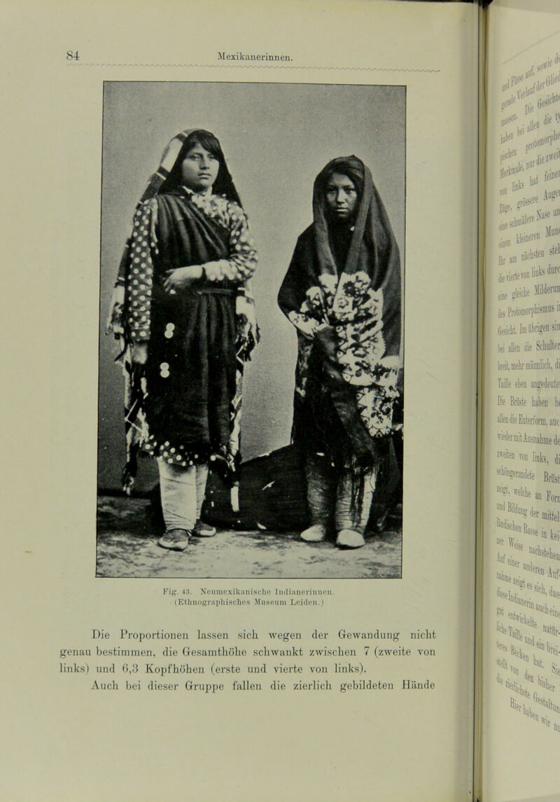 Fig. 43. Neumexikanische Indianerinnen. (Ethnographisches Museum Leiden.) Die Proportionen lassen sich wegen der Gewandung nicht genau bestimmen, die Gesamthöhe schwankt zwischen 7 (zweite von links) und 0,3 Kopfhöhen (erste und vierte von links). Auch bei dieser Gruppe fallen die zierlich gebildeten Hände