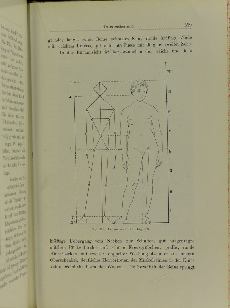 gerade, lange, runde Beine, schmales Knie, runde, kräftige Wade mit weichem Umriss, gut geformte Füsse mit längster zweiter Zehe. In der Rückansicht ist hervorzuheben der weiche und doch kräftige Uebergang vom Nacken zur Schulter, gut ausgeprägte mittlere Rückenfurche und schöne Kreuzgrübchen, pralle, runde Hinterbacken mit zweiter, doppelter Wölbung darunter am inneren Oberschenkel, deutliches Hervortreten der Muskelsehnen in der Knie- kehle, weibliche Form der Waden. Die Geradheit der Beine springt