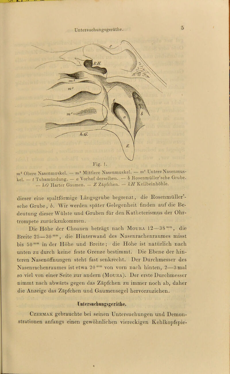 Untcrsuchungsgeräthe. Fig. 1. m a Obere Nasenmuskel. — rn Mittlere Nasenmuskel. — m' Untere Nasenmus- kel. — t Tubamündung. — a Vorhof derselben. — b Rosenmüller’sche Grube. — liG Harter Gaumen. - Z Zäpfchen. — kH Keilbeinhöhle. dieser eine spaltförmige Längsgrube begrenzt, die Rosenmüller’- sehe Grube, b. Wir werden später Gelegenheit finden auf die Be- deutung dieser Wülste und Gruben für den Katheterismus der Ohr- trompete zurückzukommen. Die Höhe der Choanen beträgt nach Moura 12—38mm, die Breite 25 — 30 mm, die Hinterwand des Nasenrachenraumes misst bis 50mm in der Höhe und Breite; die Höhe ist natürlich nach unten zu durch keine feste Grenze bestimmt. Die Ebene der hin- teren Nasenöffnungen steht fast senkrecht. Der Durchmesser des Nasenrachenraumes ist etwa 20,nm von vorn nach hinten, 2—3mal so viel von einer Seite zur andern (Moura). Der erste Durchmesser nimmt nach abwärts gegen das Zäpfchen zu immer noch ab, daher die Anzeige das Zäpfchen und Gaumensegel hervorzuziehen. tütersuchuugsgerätlie. Czermak gebrauchte bei seinen Untersuchungen und Demon- strationen anfangs einen gewöhnlichen viereckigen Kehlkopfspie-