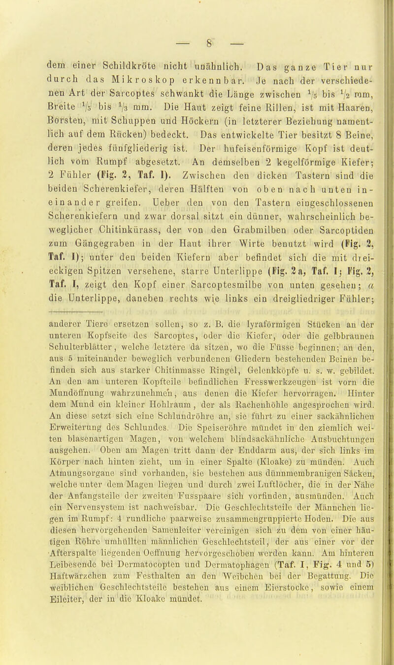 dem einer Schildkröte nicht unähnlich. Das ganze Tier nur durch das Mikroskop erkennbar. Je nach der verschiede- nen Art der Sarcoptes schwankt die Länge zwischen bis V« ram, Breite Vs bis mm. Die Haut zeigt feine Rillen, ist mit Haaren, Borsten, mit Schuppen und Höckeru (in letzterer Beziehung nament- lich auf dem Rücken) bedeckt. Das entwickelte Tier besitzt 8 Beine, deren jedes fünfgliederig ist. Der hufeisenförmige Kopf ist deut- lich vom Rumpf abgesetzt. An demselben 2 kegelförmige Kiefer; 2 Fühler (»'ig. 2, Taf. I). Zwischen den dicken Tastern sind die beiden Scherenkiefer, deren Hälften von oben nach unten in- einander greifen. Ueber den von den Tastern eingeschlossenen Scherenkiefern und zwar dorsal sitzt ein dünner, wahrscheinlich be- weglicher Chitinkürass, der von den Grabmilben oder Sarcoptiden zum Gängegraben in der Haut ihrer Wirte benutzt wird (Fig. 2, Taf. 1); unter den beiden Kiefern aber befindet sich die mit diei- eckigen Spitzen versehene, starre Unterlippe (Fig. 3a, Taf. l; Fig. 3, Taf. I, zeigt den Kopf einer Sarcoptesmilbe von unten gesehen; a die Unterlippe, daneben rechts yi[e links ein dreigliedriger Fühler; audorcr Tiere ersetzen sollen, so z. B. die lyraförmigeu Stücken an der unteren Kopfseite des Sarcoptes, oder die Kiefer, oder die gelbbraunen Schulterblätter, welche letztere da sitzen, wo die Füsse beginnen; an den, aus 5 miteinander beweglich verbundenen Gliedern bestehenden Beinen be- finden sich aus starker Chitinmasse Kingel, Gelcnkköpfe u. s. w. gebildet. An deu am unteren Kopfteile befindlichen Fresswerkzeugen ist voru die Mundöfi'nuug wahrzunehmen, aus denen die Kiefer hervorragen. Hinter dem Mund ein kleiner Hohlraum, der als ßachenhöhle angesprochen wird. Au diese setzt sich eine Schluudröhre an, sie führt zu einer sackähuliclieu Erweiterung des Schlundes. Die Speiseröhre mündet in den ziemlich wei- ten blasenartigen Magen, von welchem blindsackiUinliche Ausbuchtungen ausgehen. Oben am Magen tritt dann der Enddarm aus, der sich links im Körper nach hinten zieht, um in einer Spalte (Kloake) zu münden. Auch Atmuugsorgane sind vorhanden, sie bestehen aus dünnmembranigen Säcken, welche unter dem Magen liegen und durch zwei Luftlöcher, die iu der Nähe der Anfangsteile der zweiten Fusspaare sich vorfinden, ausmünden. Auch ein Nei'vensystem ist nachweisbar. Die Geschlechtsteile der Männchen lie- gen im Rumpf: 4 rundliche paarweise zusammeugruppierte Hoden. Die aus diesen hervorgehenden Samenleiter vereinigen sich zu dem von einer häu- tigen Röhre umhüllten männlichen Geschlechtsteil, der aus einer vor der Afterspalte licgeudcu Oeffuung hervorgeschobeu werden kauu. Am hinteren Leibesende bei Dermatocopten und Dermatophagen (Taf. I, Fig. 4 und 5) Haftwärzchen zum Festhalten an den Weibchen bei der Begattung. Die weiblichen Geschlechtsteile bestehen aus einem Eierstocke, sowie einem Eileiter, der in die Kloake mündet. '