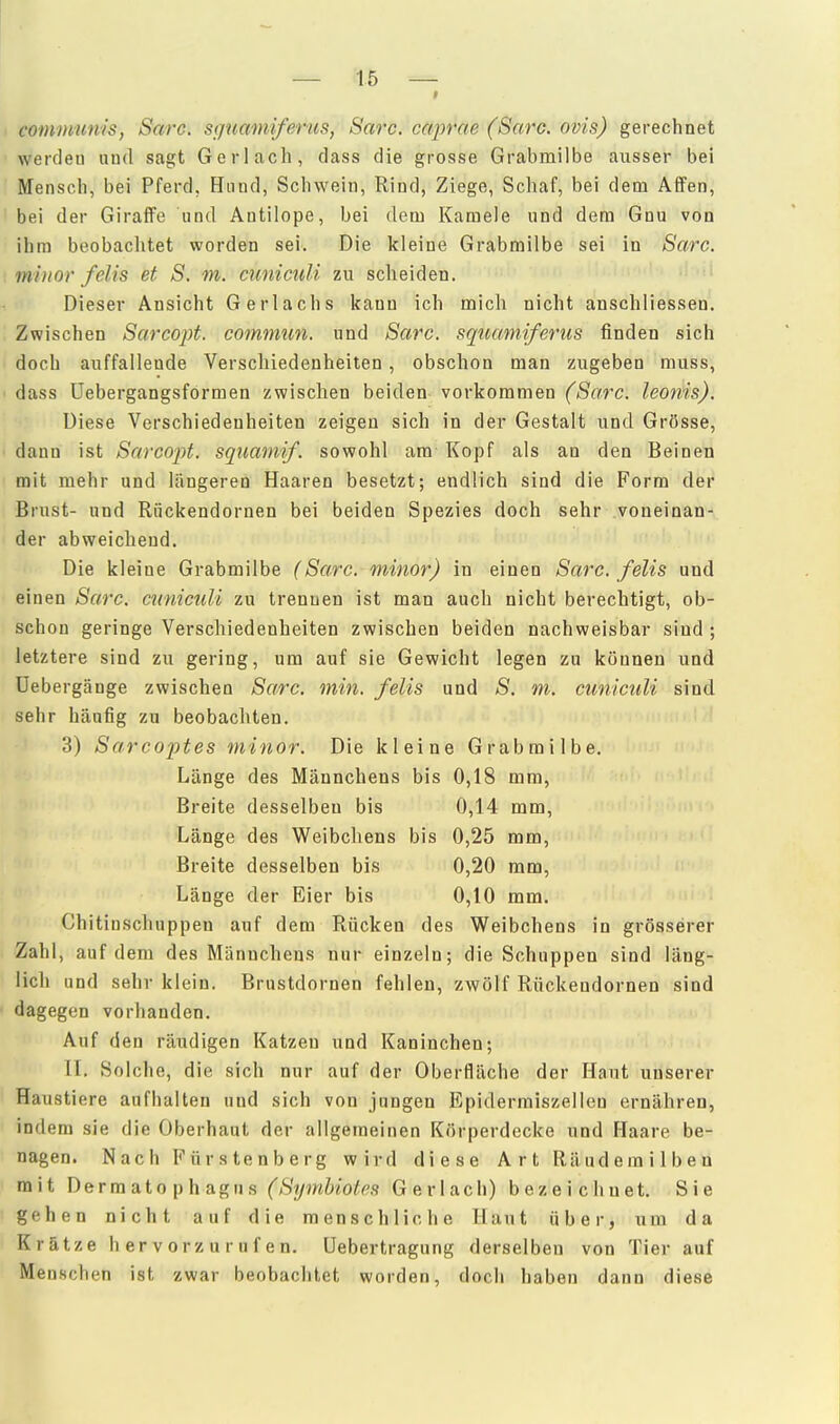 communis, Sarc. s<iuamifenis, Sarc. caprae (Sarc. ovis) gerechnet wercleu uud sagt Ger lach, dass die grosse Grabmilbe ausser bei Mensch, bei Pferd, Hand, Schwein, Rind, Ziege, Schaf, bei dem Affen, bei der Giraffe und Antilope, bei dem Kamele und dem Gnu von ihm beobachtet worden sei. Die kleine Grabrailbe sei in Sarc. minor felis et S. m. cunicuU zu scheiden. Dieser Ansicht Gerlachs kann ich mich nicht anschliessen. Zwischen Sarcojyt. commun. und Sarc. squamiferus finden sich doch auffallende Verschiedenheiten, obschon man zugeben muss, dass üebergangsformen zwischen beiden vorkommen (Sarc. leonis). Diese Verschiedenheiten zeigen sich in der Gestalt und Grösse, dann ist Sarcopt. sqnamif. sowohl am Kopf als an den Beinen mit mehr und längeren Haaren besetzt; endlich sind die Form der Brust- und Rückendornen bei beiden Spezies doch sehr voneinan- der abweichend. Die kleine Grabmilbe (Sarc. minor) in einen Sarc. felis und einen Sarc, cnniculi zu trennen ist man auch nicht berechtigt, ob- schon geringe Verschiedenheiten zwischen beiden nachweisbar sind ; letztere sind zu gering, um auf sie Gewicht legen zu können und üebergänge zwischen Sarc. min. felis und S. m. cuniculi sind sehr häufig zu beobachten. 3) Sarcoptes minor. Die kleine Grabmilbe. Länge des Männchens bis 0,18 mm, Breite desselben bis 0,14 mm, Länge des Weibchens bis 0,25 mm. Breite desselben bis 0,20 mm, Länge der Eier bis 0,10 mm. Chitiuschuppen auf dem Rücken des Weibchens in grösserer Zahl, auf dem des Männchens nur einzeln; die Schuppen sind läng- lich und sehr klein. Brustdornen fehlen, zwölf Rückendornen sind dagegen vorhanden. Auf den räudigen Katzen und Kaninchen; II. Solche, die sich nur auf der Oberfläche der Haut unserer Haustiere aufhalten und sich von jungen Epidermiszellen ernähren, indem sie die Oberhaut der allgemeinen Körperdecke und Haare be- nagen. Nach Fürstenberg wird diese Art Räudemilben mit Dermatophagus (Symbiotes G e r 1 a c Ii) bezeichnet. Sie gehen nicht auf die menschliche Haut über, um da Krätze hervorzurufen, üebertragung derselben von Tier auf Menschen ist zwar beobachtet worden, doch haben dann diese