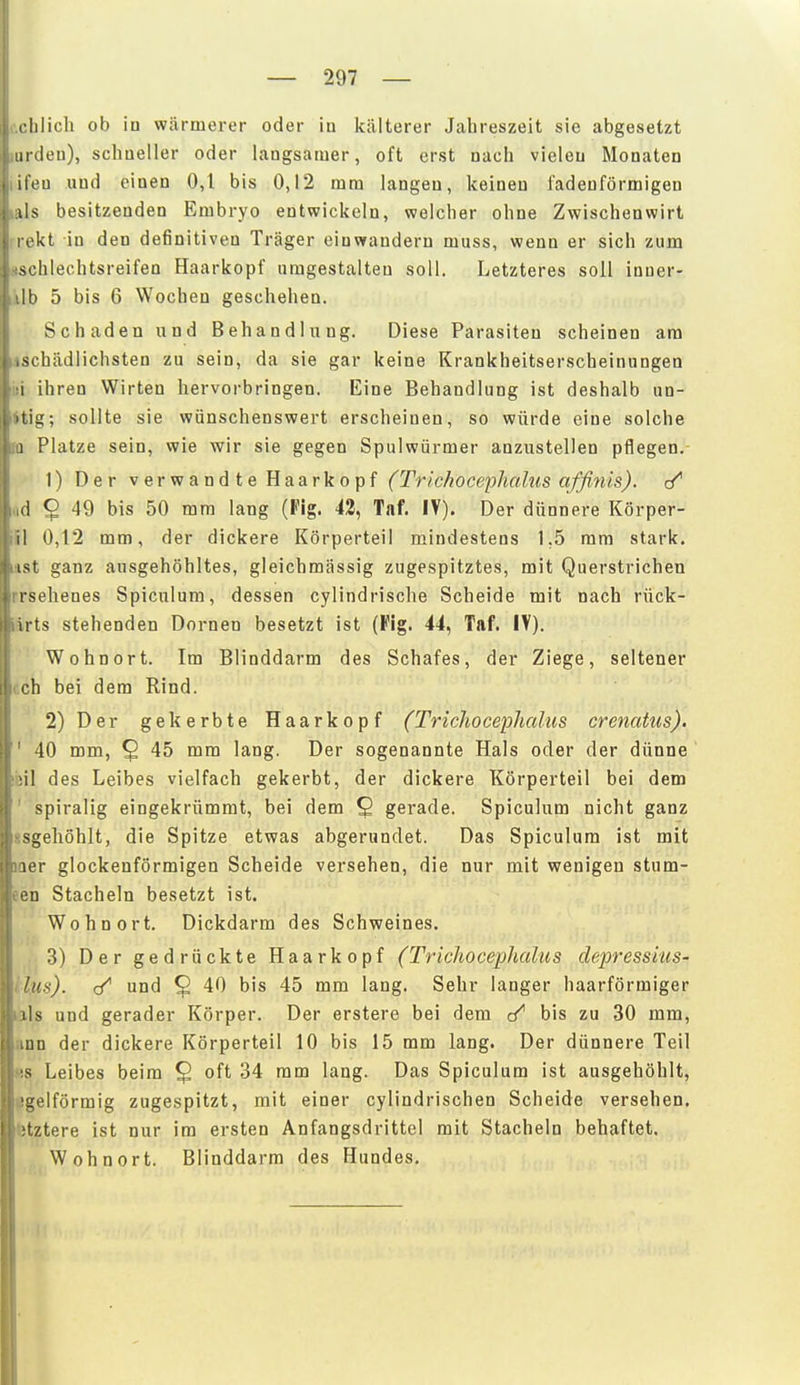 i lilicli ob in wärmerer oder in kälterer Jahreszeit sie abgesetzt iiicleu), sclmeller oder langsamer, oft erst nach vielen Monaten ileu und einen 0,1 bis 0,12 mm langen, keinen fadenförmigen iLs besitzenden Embryo entwickeln, welcher ohne Zwischenwirt 1 i'kt in den definitiven Träger einwandern muss, wenn er sich zum sciilechtsreifen Haarkopf umgestalten soll. Letzteres soll inner- U) 5 bis 6 Wochen geschehen. Schaden und Behandlung. Diese Parasiten scheinen am chädlichsten zu sein, da sie gar keine Krankheitserscheinungen I ihren Wirten hervorbringen. Eine Behandlung ist deshalb un- tig; sollte sie wünschenswert erscheinen, so würde eine solche 1 Platze sein, wie wir sie gegen Spulwürmer anzustellen pflegen, 1) Der verwandte Haarkopf (Trichocephalus affinis). 1 $ 49 bis 50 mm lang (Fig. 42, Tnf. IV). Der dünnere Körper- il 0,12 mm, der dickere Körperteil mindestens 1,5 mm stark, ist ganz ausgehöhltes, gleichmässig zugespitztes, mit Querstrichen isehenes Spiculum, dessen cylindrische Scheide mit nach rück- u ts stehenden Dornen besetzt ist (Fig. 44, Taf. IV). Wohnort. Im Blinddarm des Schafes, der Ziege, seltener ch bei dem Rind. 2) Der gekerbte Haarkopf (Trichocephalus crenatus). ■10 mm, § 45 mm lang. Der sogenannte Hals oder der dünne i! des Leibes vielfach gekerbt, der dickere Körperteil bei dem spiralig eingekrümmt, bei dem 2 gerade. Spiculum nicht ganz sgehöhlt, die Spitze etwas abgerundet. Das Spiculum ist mit jer glockenförmigen Scheide versehen, die nur mit wenigen stum- en Stacheln besetzt ist. Wohnort. Dickdarm des Schweines. 3) Der gedrückte Haarkopf (Trichocephcdics depressius- his). und § 40 bis 45 mm lang. Sehr langer haarförmiger ils und gerader Körper. Der erstere bei dem bis zu 30 mm, UD der dickere Körperteil 10 bis 15 mm lang. Der dünnere Teil s Leibes beim ^ oft 34 mm lang. Das Spiculum ist ausgehöhlt, '!<elförmig zugespitzt, mit einer cylindrischen Scheide versehen. ztere ist nur im ersten Anfangsdrittel mit Stacheln behaftet. Wohnort. Blinddarm des Hundes.