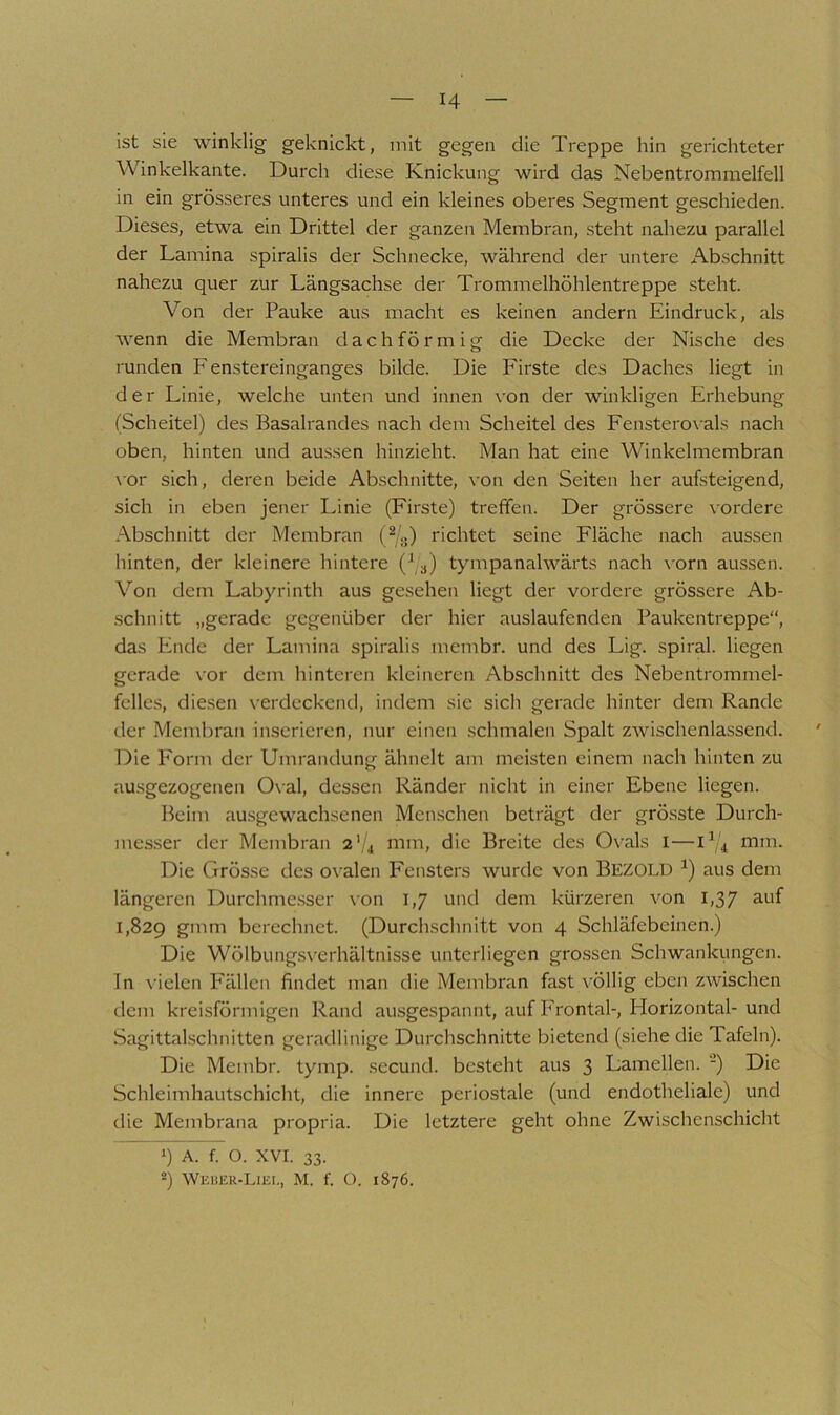 ist sie winklig geknickt, mit gegen die Treppe hin gerichteter Winkelkante. Durch diese Knickung wird das Nebentrommelfell in ein grösseres unteres und ein kleines oberes Segment geschieden. Dieses, etwa ein Drittel der ganzen Membran, steht nahezu parallel der Lamina spiralis der Schnecke, während der untere Abschnitt nahezu quer zur Längsachse der Trommelhöhlentreppe steht. Von der Pauke aus macht es keinen andern Eindruck, als wenn die Membran dachförmig die Decke der Nische des runden Fenstereinganges bilde. Die Firste des Daches liegt in der Linie, welche unten und innen von der winkligen Erhebung (Scheitel) des Basalrandes nach dem Scheitel des Fenstero\'als nach oben, hinten und aussen hinzieht. Man hat eine Winkelmembran \'or sich, deren beide Abschnitte, von den Seiten her aufsteigend, sich in eben jener Linie (Firste) treffen. Der grössere vordere -•\bschnitt der Membran (^/g) richtet seine Fläche nach aussen hinten, der kleinere hintere (^ 3) tympanalwärts nach vorn aussen. Von dem Labyrinth aus gesehen Hegt der vordere grössere Ab- schnitt „gerade gegenüber der hier auslaufenden Paukentreppe“, das Ende der Lamina spiralis membr. und des Lig. spiral, liegen gerade vor dem hinteren kleineren Abschnitt des Nebentrommel- felles, diesen \-erdeckend, indem sie sich gerade hinter dem Rande der Membran inserieren, nur einen schmalen Spalt zwischenlassend. ' Die Porm der Umrandung ähnelt am meisten einem nach hinten zu au.sgezogenen 0\al, dessen Ränder nicht in einer Ebene Hegen. Beim ausgewachsenen Menschen beträgt der grösste Durch- messer der Membran 2'/), mm, die Breite des Ovals i—mm. Die Grösse des ovalen Fensters wurde von Bezold ^) aus dem längeren Durchmesser \'on 1,7 und dem kürzeren von 1,37 auf 1,829 g'inT* * berechnet. (Durchschnitt von 4 Schläfebeinen.) Die Wölbungsverhältnisse unterliegen gro.ssen Schwankungen. In vielen Fällen findet man die Membran fast völlig eben zwischen dem kreisförmigen Rand ausgespannt, auf Frontal-, Horizontal-und Sagittalschnitten geradlinige Durchschnitte bietend (siehe die Tafeln). Die Membr. tymp. secund. besteht aus 3 Lamellen. -) Die Schleimhautschicht, die innere periostale (und endotheliale) und die Membrana propria. Die letztere geht ohne Zwischenschicht ») A. f. O. XVI. 33. *) Weuer-Liei., M. f. O. 1876.