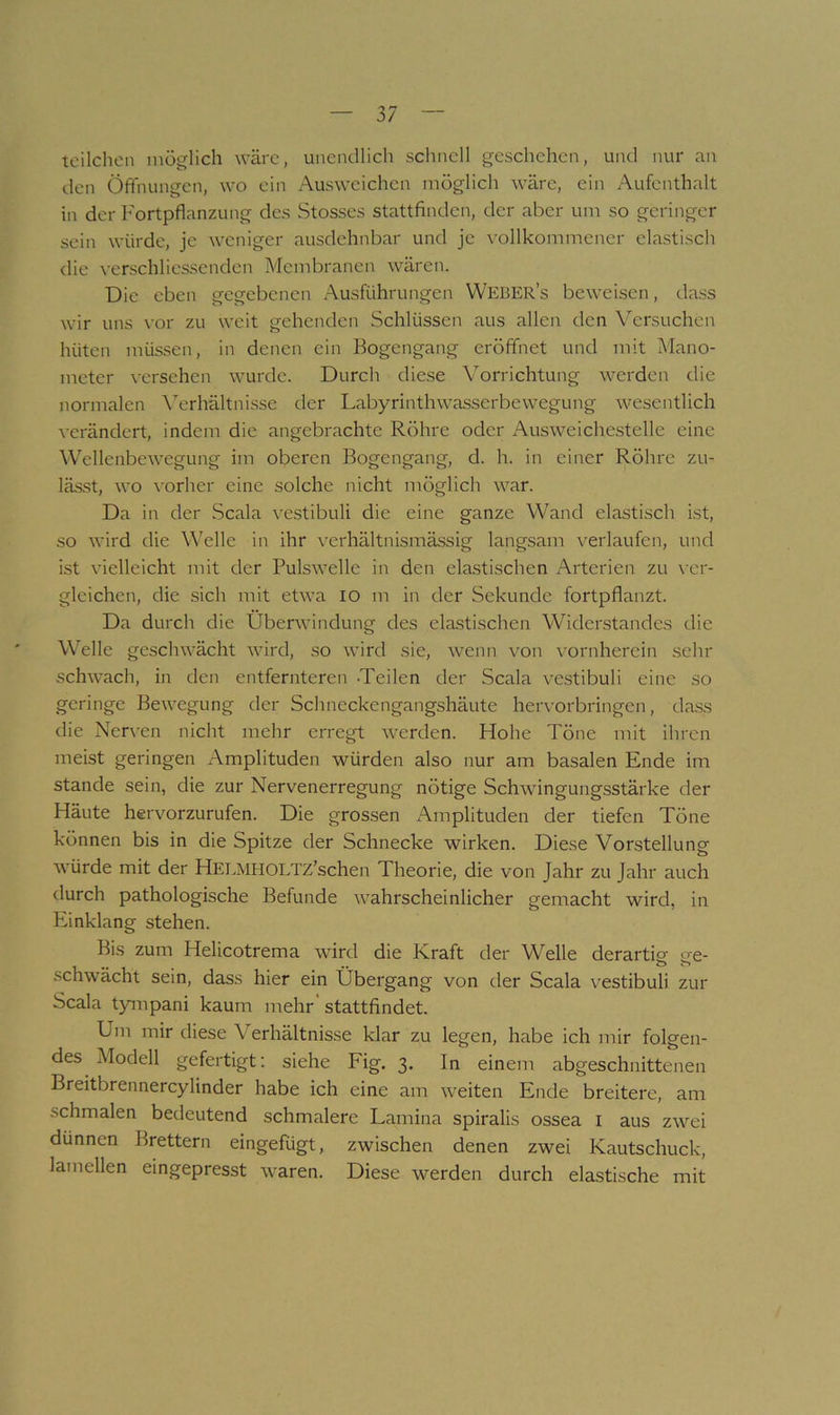 tcilchen möglich wäre, unendlich schnell geschehen, und nur an den Öfifnungen, wo ein Ausweichen möglich wäre, ein Aufenthalt in der I'ortpflanzung des Stosses stattfinden, der aber um so geringer sein würde, je weniger ausdehnbar und je vollkommener elastisch die verschliessenden Membranen wären. Die eben gegebenen Ausführungen Weber’s beweisen, dass wir uns \’or zu weit gehenden Schlüssen aus allen den Versuchen hüten müssen, in denen ein Bogengang eröffnet und mit Mano- meter versehen wurde. Durch diese Vorrichtung werden die normalen \’erhältnisse der Labyrinthwasserbewegung wesentlich verändert, indem die angebrachte Röhre oder Ausweichestelle eine Wellenbewegung im oberen Bogengang, d. h. in einer Röhre zu- lässt, wo \’orher eine solche nicht möglich war. Da in der Scala vestibuli die eine ganze Wand elastisch ist, so wird die Welle in ihr verhältnismässig langsam verlaufen, und ist vielleicht mit der Pulswelle in den ela.stischen Arterien zu \'er- gleichen, die sich mit etwa lO m in der Sekunde fortpflanzt. Da durch die Überwindung des elastischen Widerstandes die Welle geschwächt wird, so wird sie, wenn von vornherein sehr schwach, in den entfernteren -Teilen der Scala vestibuli eine so geringe Bewegung der Schneckengangshäute her\'orbringen, dass die Nerven nicht mehr erregt werden. Hohe Töne mit ihren meist geringen Amplituden würden also nur am basalen Ende im Stande sein, die zur Nervenerregung nötige Schwingungsstärke der Häute hervorzurufen. Die grossen Amplituden der tiefen Töne können bis in die Spitze der Schnecke wirken. Diese Vorstellung würde mit der HELMHOLTZ’schen Theorie, die von Jahr zu Jahr auch durch pathologische Befunde wahrscheinlicher gemacht wird, in Einklang stehen. Bis zum Helicotrema wird die Kraft der Welle derartig ge- schwächt sein, dass hier ein Übergang von der Scala vestibuli zur Scala tympani kaum mehr' stattfindet. Um mir diese Verhältnisse klar zu legen, habe ich mir folgen- des Modell gefertigt; siehe Fig. 3. In einem abgeschiiittenen Breitbrennercylinder habe ich eine am weiten Ende breitere, am schmalen bedeutend schmalere Lamina spiralis ossea i aus zwei dünnen Brettern eingefügt, zwischen denen zwei Kautschuck, lamellen eingepresst waren. Diese werden durch elastische mit