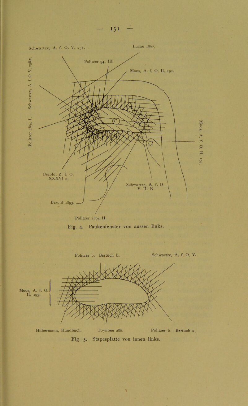 Politzer 1894 I, Schwartze, A. f. O. V. 2580. Ijucae 1867. Fig. 4. Paukenfenster von aussen links. > p Politzer b. Bertuch b. Schwartze^ A. f. O. V. Habermami, Handbuch. Toynbee 286. Politzer b. Bertuch a. Fig. 5. Stapesplatte von innen links. Moos,