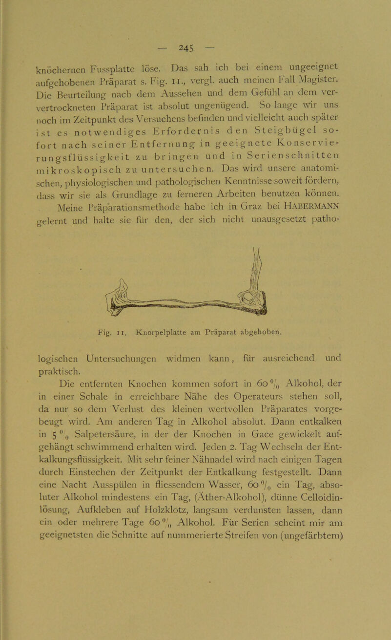 knöchernen Fussplatte löse. T3as sah ich bei einem ungeeignet aufgehobenen Präparat s. lög. ii., vergl. auch meinen Fall Magister. Die Beurteilung nach dem Aussehen und dem Cxefühl an dem v'er- \-ertrockneten Präparat ist absolut ungenügend. So lange wir uns noch im Zeitpunkt des Vensuchens befinden und vielleicht auch später ist es notwendiges Erfordernis den Steigbügel so- fort nach seiner hintfernung in geeignete Konservie- rungsflüssigkeit zu bringen und in Serienschn i tt en mikroskopisch zu untersuchen. Das wird unsere anatomi- schen, physiologi.schen und pathologischen Kenntnisse soweit fördern, dass wir sie als Grundlage zu ferneren Arbeiten benutzen können. Meine Präparationsmethode habe ich in Graz bei HabERMANN gelernt und halte sie für den, der sich nicht unausgesetzt patho- logischen Untersuchungen widmen kann, für ausreichend und praktisch. Die entfernten Knochen kommen sofort in 6o ®Alkohol, der in einer Schale in erreichbare Nähe des Operateurs stehen soll, da nur so dem Verlust des kleinen wertvollen Präparates vorge- beugt wird. Am anderen Tag in Alkohol absolut. Dann entkalken in 5  „ Salpetersäure, in der der Knochen in Gace gewickelt auf- gehängt schwimmend erhalten wird. Jeden 2. Tag Wech.seln der Ent- kalkungsflüssigkeit. Mit sehr feiner Nähnadel wird nach einigen Tagen durch Einstechen der Zeitpunkt der Entkalkung festgestellt. Dann eine Nacht .Ausspülen in fliessendem Wasser, 6o^|^^ ein Tag, abso- luter Alkohol mindestens ein Tag, (Ather-Alkohol), dünne Celloidin- lösung, Aufkleben auf Molzklotz, langsam verdunsten lassen, dann ein oder mehrere Tage 6o^ „ Alkohol. Für Serien scheint mir am geeignetsten die .Schnitte auf nummerierte Streifen von (ungefärbtem)