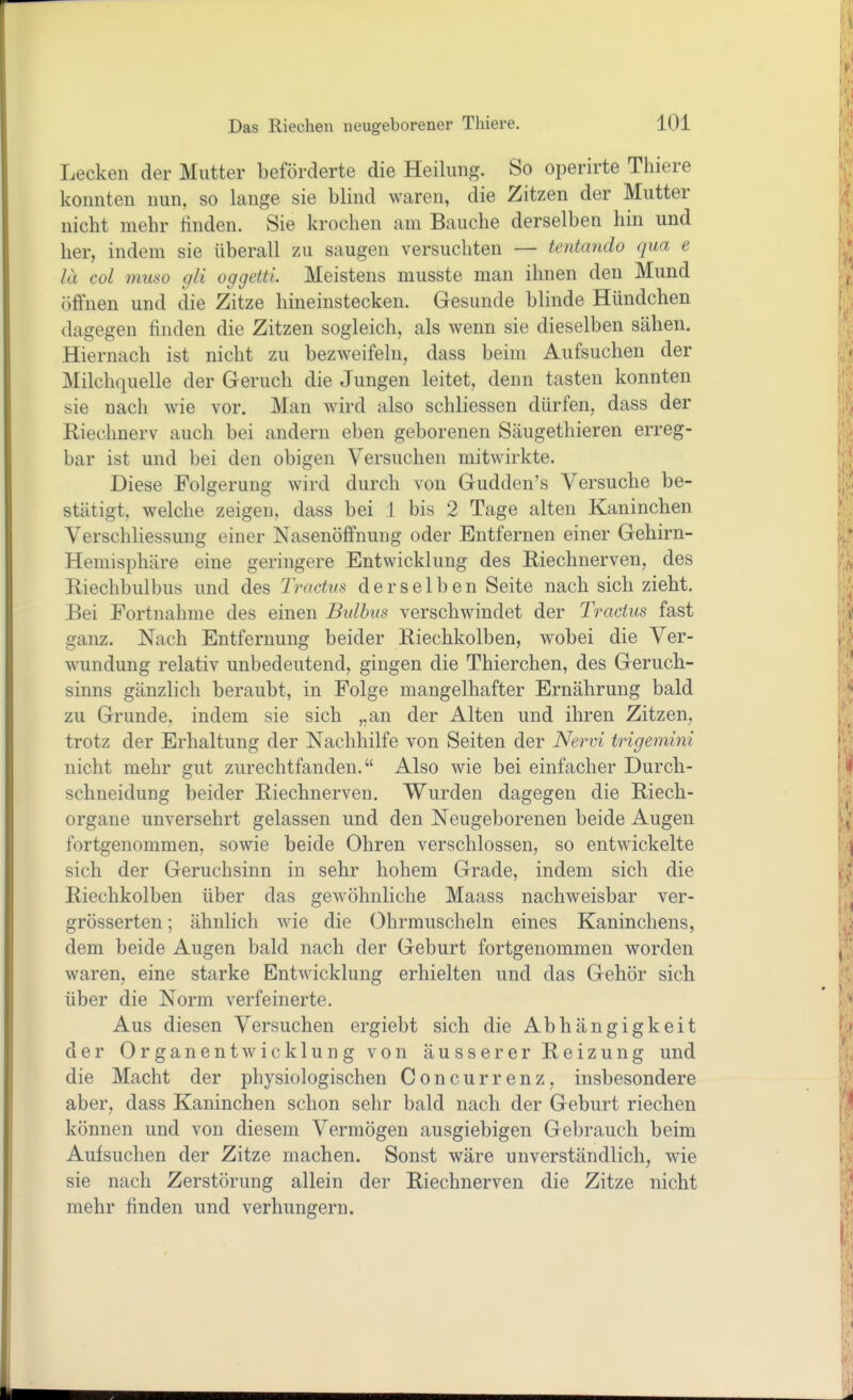 Lecken der Mutter beförderte die Heilung. So operirte Thiere konnten nun, so lange sie blind waren, die Zitzen der Mutter nicht mehr linden. Sie krochen am Bauche derselben hin und her, indem sie überall zu saugen versuchten — tentando qua e lä col muso gli oggetti. Meistens musste man ihnen den Mund öffnen und die Zitze hineinstecken. Gesunde blinde Hündchen dagegen finden die Zitzen sogleich, als wenn sie dieselben sähen. Hiernach ist nicht zu bezweifeln, dass beim Aufsuchen der Milchquelle der Geruch die Jungen leitet, denn tasten konnten sie nach wie vor. Man wird also schliessen dürfen, dass der Riechnerv auch bei andern eben geborenen Säugethieren erreg- bar ist und bei den obigen Versuchen mitwirkte. Diese Folgerung wird durch von Gudden's Versuche be- stätigt, welche zeigen, dass bei 1 bis 2 Tage alten Kanineben VerSchliessung einer Nasenöffnung oder Entfernen einer Gehirn- Hemisphäre eine geringere Entwicklung des Riechnerven, des Riechbulbus und des Tractus derselben Seite nach sich zieht. Bei Fortnahme des einen Bulbus verschwindet der Tracius fast ganz. Nach Entfernung beider Riechkolben, wobei die Ver- wundung relativ unbedeutend, gingen die Thierchen, des Geruch- sinns gänzlich beraubt, in Folge mangelhafter Ernährung bald zu Grunde, indem sie sich ,,an der Alten und ihren Zitzen, trotz der Erhaltung der Nachhilfe von Seiten der Nervi trigemini nicht mehr gut zurechtfanden. Also wie bei einfacher Durcb- schneidung beider Riechnerven. Wurden dagegen die Riech- organe unversehrt gelassen und den Neugeborenen beide Augen fortgenommen, sowie beide Ohren verschlossen, so entwickelte sich der Geruchsinn in sehr hohem Grade, indem sich die Riechkolben über das gewöhnliche Maass nachweisbar ver- grösserten; ähnlich wie die Ohrmuscheln eines Kaninchens, dem beide Augen bald nach der Geburt fortgenommen worden waren, eine starke Entwicklung erhielten und das Gehör sich über die Norm verfeinerte. Aus diesen Versuchen ergiebt sich die Abhängigkeit der Organentwicklung von äusserer Reizung und die Macht der physiologischen Concurrenz, insbesondere aber, dass Kaninchen schon sehr bald nach der Geburt riechen können und von diesem Vermögen ausgiebigen Gebrauch beim Aufsuchen der Zitze machen. Sonst wäre unverständlich, wie sie nach Zerstörung allein der Riechnerven die Zitze nicht mehr finden und verhungern.