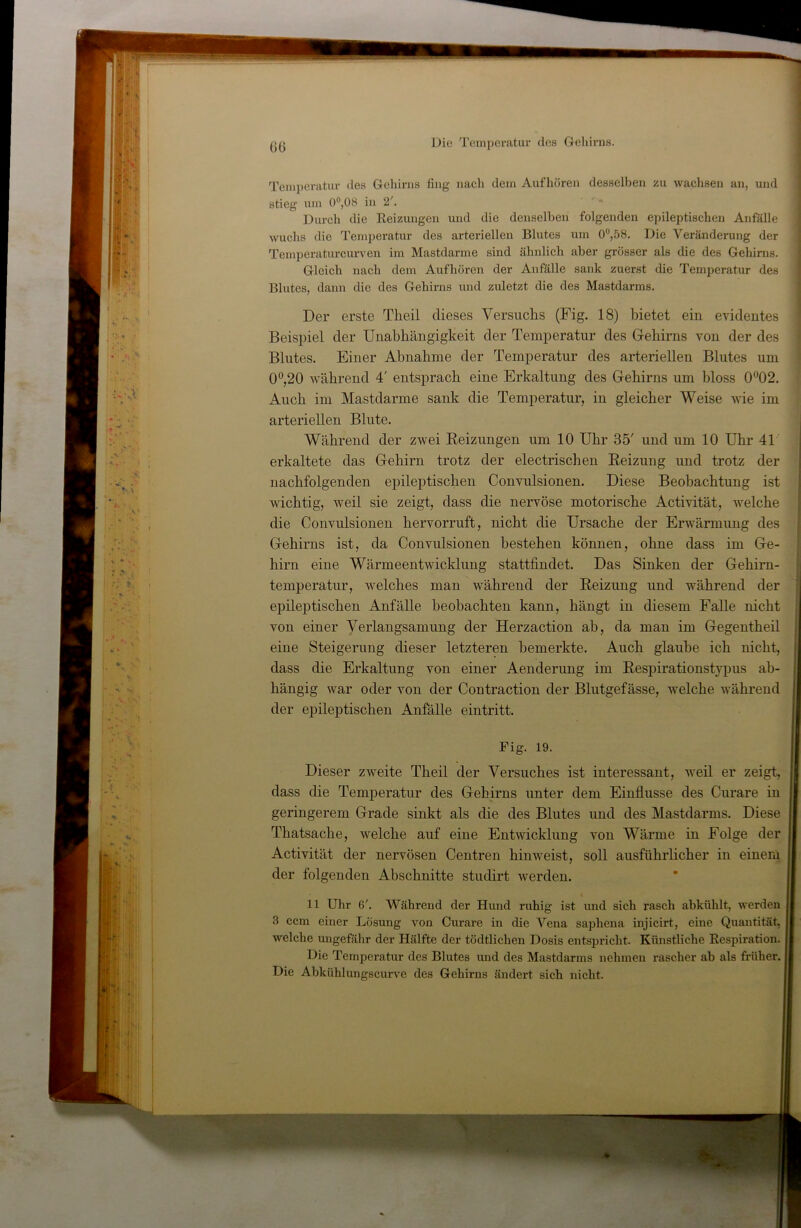 i G(j Die Temperatur des Gehirus. Temperatur des Gehirns fing nach dem Aufhören desselben zu wachsen an, und stieg um 0°,08 in 2'. Durch die Reizungen und die denselben folgenden epileptischen Anfälle wuchs die Temi)eratur des arteriellen Blutes xun 0°,58. Die Veränderung der Temperaturcurven im Mastdarme sind ähnlich aber grösser als die des Gehinis. Gleich nach dem Auf hören der Anfälle sank zuerst die Temperatur des Blutes, dann die des Gehirns und zidetzt die des Mastdarms. Der erste Tlieil dieses Versuclis (Fig. 18) bietet ein evidentes Beispiel der Unabhängigkeit der Temperatur des Gehirns von der des Blutes. Einer Abnahme der Temperatur des arteriellen Blutes um 0°,20 während 4' entsprach eine Erkaltung des Gehirns um bloss 002. Auch im Mastdarme sank die Temperatur, in gleicher Weise wie im arteriellen Blute. Während der zwei Reizungen um 10 Uhr 35' und um 10 Uhr 41 erkaltete das Gehirn trotz der electrischen Reizung und trotz der nachfolgenden epileptischen Convulsionen. Diese Beobachtung ist wichtig, weil sie zeigt, dass die nervöse motorische Activität, welche die Convulsionen hervorruft, nicht die Ursache der Erwärmung des Gehirns ist, da Convulsionen bestehen können, ohne dass im Ge- hirn eine Wärmeentwicklung stattfindet. Das Sinken der Gehirn- temperatur, welches man während der Reizung und während der epileptischen Anfälle beobachten kann, hängt in diesem Falle nicht von einer Verlangsamung der Herzaction ab, da man im Gegentheil eine Steigerung dieser letzteren bemerkte. Auch glaube ich nicht, dass die Erkaltung von einer Aenderung im Respirationstypus ab- hängig war oder von der Contraction der Blutgefässe, welche während der epileptischen Anfälle eintritt. Fig. 19. Dieser zweite Theil der Versuches ist interessant, weil er zeigt, dass die Temperatur des Gehirns unter dem Einflüsse des Curare in geringerem Grade sinkt als die des Blutes und des Mastdarms. Diese Thatsache, welche auf eine Entwicklung von Wärme in Folge der Activität der nervösen Centren hinweist, soll ausführlicher in einem der folgenden Abschnitte studirt werden. 11 Uhr 6'. Während der Hund ruhig ist und sich rasch abkühlt, werden 3 ccm einer Lösung von Curare in die Vena saphena injicirt, eine Quantität, welche ungefähr der Hälfte der tödtlichen Dosis entspricht. Künstliche Respiration. Die Temperatur des Blutes und des Mastdarms nehmen rascher ab als früher. Die Abkühlungscurve des Gehirns ändert sich nicht.