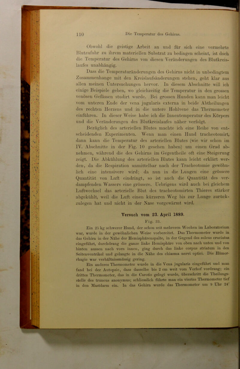V 1 « Obwohl die geistige Arbeit an und für sich eine vermehrte Blutzuluhr zu ihrem materiellen Sul)strat zu bedingen scheint, ist doch die Temjieratur des Gehirns von diesen Veränderungen des Blutkreis- laufes unabhängig. Dass die Temperaturänderungen des Gehirns nicht in unbedingtem Zusammenhänge mit den Kreislaufsänderungen stehen, geht klar aus allen meinen Untersuchungen hervor. In diesem Abschnitte will ich einige Beispiele geben, wo gleichzeitig die Temperatur in den grossen venösen Gefässen studirt wurde. Bei grossen Hunden kann man leicht vom unteren Ende der vena jugularis externa in beide Abtheilungen des rechten Herzens und in die untere Hohlvene das Thermometer einführen. In dieser Weise habe ich die Innentemperatur des Körpers und die Veränderungen des Blutkreislaufes näher verfolgt. Bezüglich des arteriellen Blutes machte ich eine Reihe von ent- scheidenden Experimenten. Wenn man einen Hund tracheotomirt, dann kann die Temperatur des arteriellen Blutes (wie wir schon im IV. Abschnitte in der Fig. 10 gesehen haben) um einen Grad ab- nehmen, während die des Gehirns im Gegentheile oft eine Steigerung zeigt. Die Abkühlung des arteriellen Blutes kann leicht erklärt wer- den, da die Respiration unmittelbar nach der Tracheotomie gewöhn- lich eine intensivere wird; da nun in die Lungen eine grössere Quantität von Luft eindringt, so ist auch die Quantität des ver- dampfenden Wassers eine grössere. Uebrigens wird auch bei gleichem Luftwechsel das arterielle Blut des tracheotomirten Thieres stärker abgekühlt, weil die Luft einen kürzeren Weg bis zur Lunge zurück- zulegen hat und nicht in der Nase vorgewärmt wird. Versuch vom 23. April 1889. Fig. 33. Ein 25 kg schwerer Hund, der schon seit mehreren Wochen im Lahoratorium war, wurde in der gewöhnlichen Weise vorbereitet. Das Thermometer wurde in das Gehirn in der Nähe der Hemisphärenspalte, in der Gegend des sulcus cruciatus eingeführt, durchdrang die ganze linke Hemisphäre von oben nach unten und von hinten aussen nach vorn innen, ging durch das linke corpus striatum in den Seiten Ventrikel und gelangte in die Nähe des chiasma nervi optici. Die Hämor- rhagie war verhältnissmässig gering. Ein anderes Thermometer wurde in die Vena jugularis eingeführt und man fand bei der Autopsie, dass dasselbe bis 2 cm weit vom Vorhof vordrang; ein drittes Thermometer, das in die Carotis gelegt wurde, überschritt die 1 heilungs- stelle des truncus anonymus; schliesslich führte man ein viertes Thermometer tief in den Mastdarm ein. In das Gehirn wurde das Thermometer \im 9 Uhr 24 m