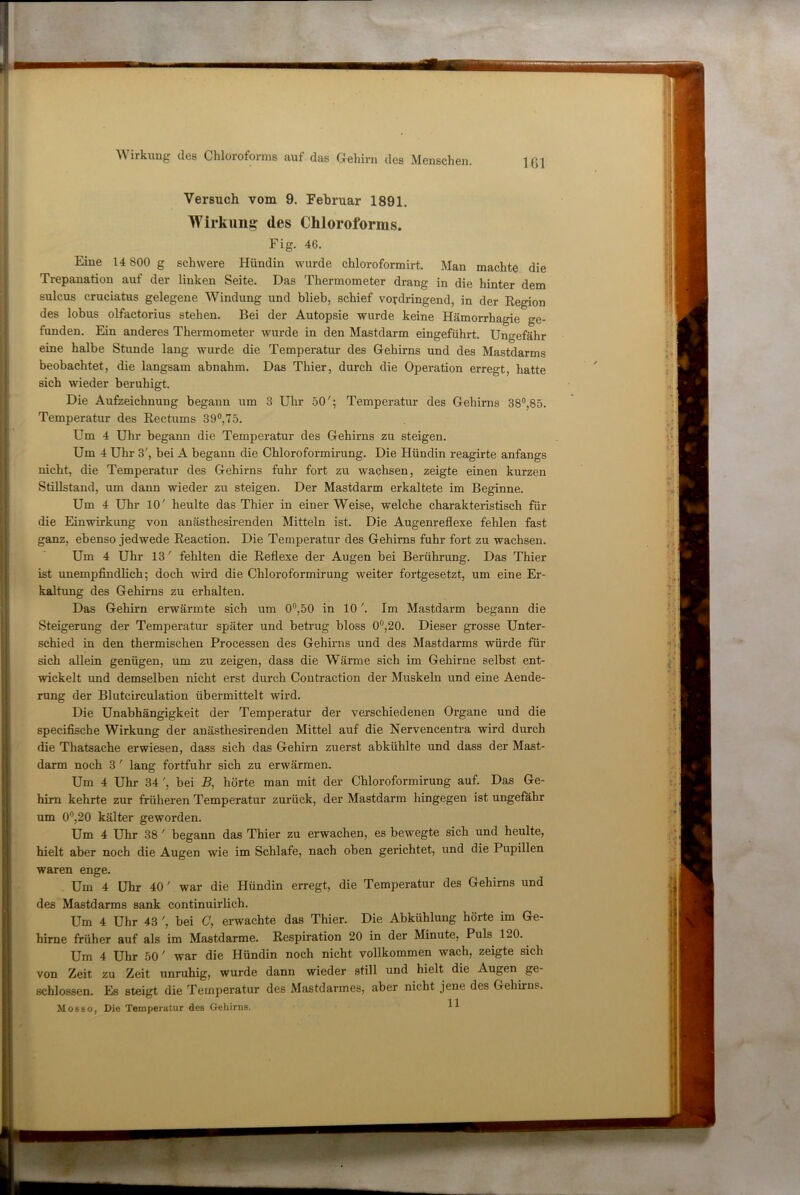 Versuch vom 9. Februar 1891. Wirkuna: des Chloroforms. Fig. 46. Eine 14 800 g schwere Hündin wurde chloroformirt. Man machte die Trepanation auf der linken Seite. Das Thermometer drang in die hinter dem sulcus cruciatus gelegene AVindung und blieb, schief vordringend, in der Kegion des lobus olfactorius stehen. Bei der Autopsie wurde keine Hämorrhagie ge- funden. Ein anderes Thermometer wurde in den Mastdarm eingeführt. Ungefähr eine halbe Stunde lang wurde die Temperatur des Gehirns und des Mastdarms beobachtet, die langsam abnahm. Das Thier, durch die Operation erregt, hatte sich wieder beruhigt. Die Aufzeichnung begann um 3 Uhr 50'; Temperatur des Gehirns 38°,85. Temperatur des Rectums 39°,75. Um 4 Uhr begann die Temperatur des Gehirns zu steigen. Um 4 Uhr 3', bei A begann die Chloroformirung. Die Hündin reagirte anfangs nicht, die Temperatur des Gehirns fuhr fort zu wachsen, zeigte einen kurzen Stillstand, um dann wieder zu steigen. Der Mastdarm erkaltete im Beginne. Um 4 Uhr 10' heulte das Thier in einer Weise, welche charakteristisch für die Einwirkung von anästhesirenden Mitteln ist. Die Augenreflexe fehlen fast ganz, ebenso jedwede Eeaction. Die Temperatur des Gehirns fuhr fort zu wachsen. Um 4 Uhr 13' fehlten die Reflexe der Augen bei Berührung. Das Thier ist unempfindlich; doch wird die Chloroformirung weiter fortgesetzt, um eine Er- kaltung des Gehirns zu erhalten. Das Gehirn erwärmte sich um 0“,50 in 10'. Im Mastdarm begann die Steigerung der Temperatur später und betrug bloss 0”,20. Dieser grosse Unter- schied in den thermischen Processen des Gehirns und des Mastdarms würde für sich allein genügen, um zu zeigen, dass die Wärme sich im Gehirne selbst ent- wickelt imd demselben nicht erst durch Contraction der Muskeln und eine Aende- rung der Blutcirculation übermittelt wird. Die Unabhängigkeit der Temperatur der verschiedenen Organe und die specifische Wirkung der anästhesirenden Mittel auf die Nervencentra wird durch die Thatsache erwiesen, dass sich das Gehirn zuerst abkühlte und dass der Mast- darm noch 3' lang fortfuhr sich zu erwärmen. Um 4 Uhr 34', bei 5, hörte man mit der Chloroformirung auf. Das Ge- hirn kehrte zur früheren Temperatur zurück, der Mastdarm hingegen ist ungefähr um 0“,20 kälter geworden. Um 4 Uhr 38' begann das Thier zu erwachen, es bewegte sich und heulte, hielt aber noch die Augen wie im Schlafe, nach oben gerichtet, und die Pupillen waren enge. Um 4 Uhr 40' war die Hündin erregt, die Temperatur des Gehirns und des Mastdarms sank continuirlich. Um 4 Uhr 43 ', bei (7, erwachte das Thier. Die Abkühlung hörte im Ge- hirne früher auf als im Mastdarme. Respiration 20 in der Minute, Puls 120. Um 4 Uhr 50' war die Hündin noch nicht vollkommen wach, zeigte sich von Zeit zu Zeit unruhig, wurde dann wieder still und hielt die Augen ge- schlossen. Es steigt die Temperatur des Mastdarmes, aber nicht jene des Gehirns. Mosbo, Die Temperatur des Gehirns. U