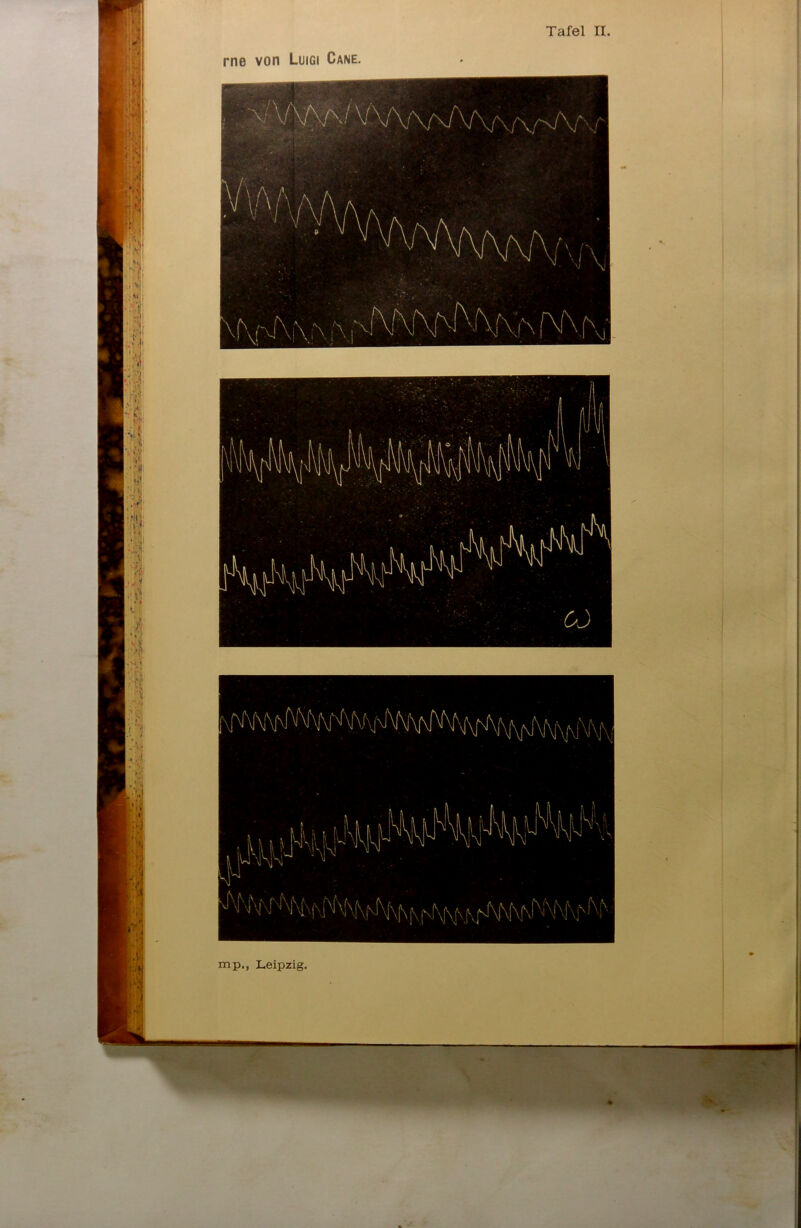 3K> Tafel II. rne von Luigi Cane. mp., Leipzig.