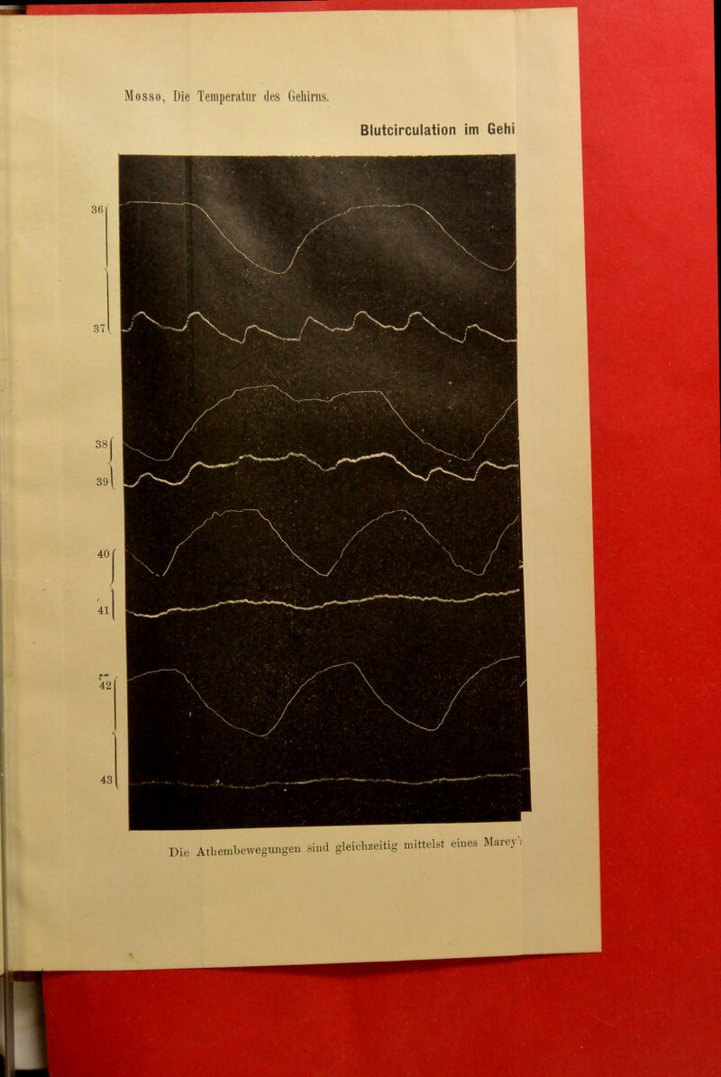 ie Athembewegungen sind gleichzeitig mittelet einee Marey. Die Mosso, Die Temperatur des Gehirns. Blutcirculation im Gehl 40 kl