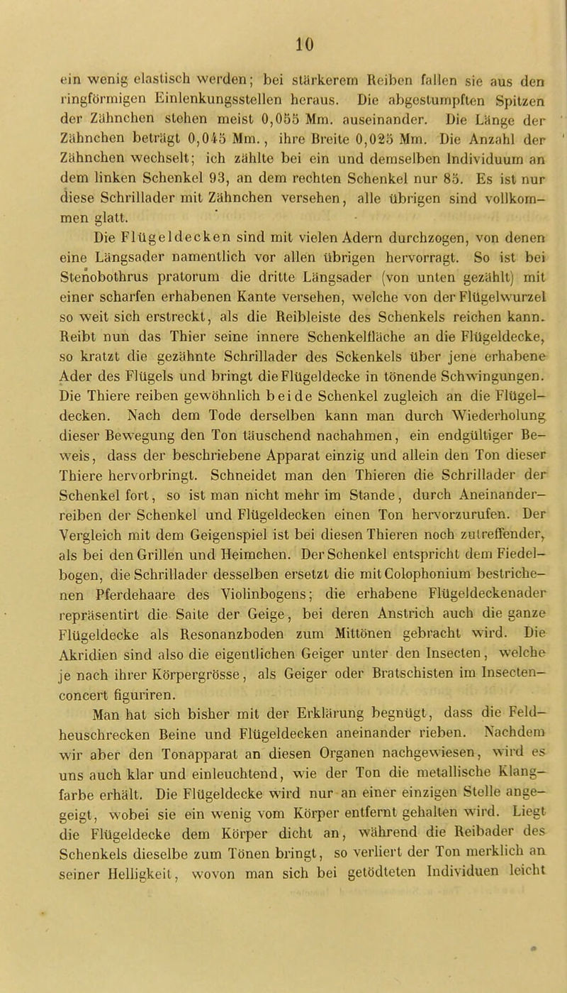 ein wenig elastisch werden; bei stärkerem Reiben fallen sie aus den ringförmigen Einlenkungsstellen heraus. Die abgestumpften Spitzen der Zähnchen stehen meist 0,05b Mm. auseinander. Die Länge der Zähnchen beträgt 0,045 Mm., ihre Breite 0,025 Mm. Die Anzahl der Zähnchen wechselt; ich zählte bei ein und demselben Individuum an dem linken Schenkel 93, an dem rechten Schenkel nur 85. Es ist nur diese Schrillader mit Zähnchen versehen, alle übrigen sind vollkom- men glatt. Die Flügeldecken sind mit vielen Adern durchzogen, von denen eine Längsader namentlich vor allen übrigen hervorragt. So ist bei Stenobothrus pratorum die dritte Längsader (von unten gezählt) mit einer scharfen erhabenen Kante versehen, welche von der Flügelwui<z< 1 so weit sich erstreckt, als die Reibleiste des Schenkels reichen kann. Reibt nun das Thier seine innere Schenkelfläche an die Flügeldecke, so kratzt die gezähnte Schrillader des Sckenkels über jene erhabene Ader des Flügels und bringt die Flügeldecke in tönende Schwingungen. Die Thiere reiben gewöhnlich beide Schenkel zugleich an die Flügel- decken. Nach dem Tode derselben kann man durch Wiederholung dieser Bewegung den Ton täuschend nachahmen, ein endgültiger Re- weis, dass der beschriebene Apparat einzig und allein den Ton dieser Thiere hervorbringt. Schneidet man den Thieren die Schrillader der Schenkel fort, so ist man nicht mehr im Stande, durch Aneinander- reihen der Schenkel und Flügeldecken einen Ton hervorzurufen. Der Vergleich mit dem Geigenspiel ist bei diesen Thieren noch zutreffender^ als bei den Grillen und Heimchen. Der Schenkel entspricht dem Fiedel- bogen, die Schrillader desselben ersetzt die mitColophonium bestriche- nen Pferdehaare des Violinbogens; die erhabene Flügeldeckenader repräsentirt die Saite der Geige, bei deren Anstrich auch die ganze Flügeldecke als Resonanzboden zum Mittönen gebracht wird. Die Akridien sind also die eigentlichen Geiger unter den Insecten, welche je nach ihrer Körpergrösse, als Geiger oder Rratschisten im Insecten- concert figuriren. Man hat sich bisher mit der Erklärung begnügt, dass die Feld- heuschrecken Reine und Flügeldecken aneinander rieben. Nachdem wir aber den Tonapparat an diesen Organen nachgewiesen, wird es uns auch klar und einleuchtend, wie der Ton die metallische Klang- farbe erhält. Die Flügeldecke wird nur an einer einzigen Stelle ange- geigt, wobei sie ein wenig vom Körper entfernt gehalten wird. Liegt die Flügeldecke dem Körper dicht an, während die Reibader des Schenkels dieselbe zum Tönen bringt, so verliert der Ton merklich an seiner Helligkeit, wovon man sich bei getödteten Individuen leicht