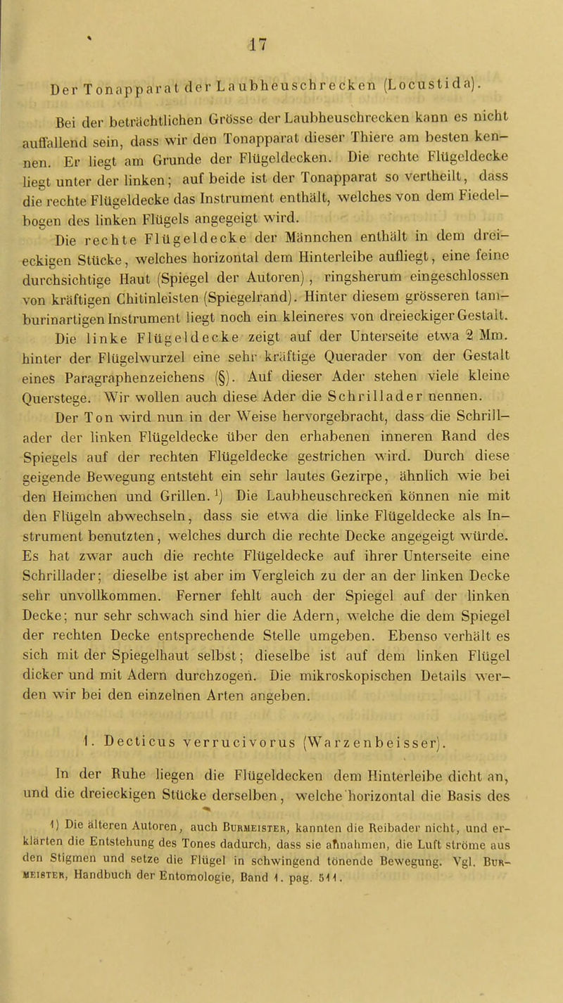 Der Tonapparat der Laubheuschrecken (Locustida). Bei der beträchtlichen Grösse der Laubheuschrecken kann es nicht auffallend sein, dass wir den Tonapparat dieser Thiere am besten ken- nen. Er liegt am Grunde der Flügeldecken. Die rechte Flügeldecke liegt unter der linken; auf beide ist der Tonapparat so vertheilt, dass die rechte Flügeldecke das Instrument enthalt, welches von dem Fiedel- bogen des linken Flügels angegeigt wird. Die rechte Flügeldecke der Männchen enthält in dem drei- eckigen Stücke, welches horizontal dem Hinterleibe aufliegt, eine feine durchsichtige Haut (Spiegel der Autoren), ringsherum eingeschlossen von kräftigen Chitinleisten (Spiegelrand). Hinter diesem grösseren tam- burinartigen Instrument liegt noch ein kleineres von dreieckiger Gestalt. Die linke Flügeldecke zeigt auf der Unterseite etwa 2 Mm. hinter der Flügelwurzel eine sehr kräftige Querader von der Gestalt eines Paragraphenzeichens (§). Auf dieser Ader stehen viele kleine Querstege. Wir wollen auch diese Ader die Schrillader nennen. Der Ton wird nun in der Weise hervorgebracht, dass die Schrill- ader der linken Flügeldecke über den erhabenen inneren Rand des Spiegels auf der rechten Flügeldecke gestrichen wird. Durch diese geigende Bewegung entsteht ein sehr lautes Gezirpe, ähnlich wie bei den Heimchen und Grillen.J) Die Laubheuschrecken können nie mit den Flügeln abwechseln, dass sie etwa die linke Flügeldecke als In- strument benutzten, welches durch die rechte Decke angegeigt würde. Es hat zwar auch die rechte Flügeldecke auf ihrer Unterseite eine Schrillader; dieselbe ist aber im Vergleich zu der an der linken Decke sehr unvollkommen. Ferner fehlt auch der Spiegel auf der linken Decke; nur sehr schwach sind hier die Adern, welche die dem Spiegel der rechten Decke entsprechende Stelle umgeben. Ebenso verhält es sich mit der Spiegelhaut selbst; dieselbe ist auf dem linken Flügel dicker und mit Adern durchzogen. Die mikroskopischen Details wer- den wir bei den einzelnen Arten angeben. 1. Decticus verrucivorus (Warzenbeisser). In der Ruhe liegen die Flügeldecken dem Hinterleibe dicht an, und die dreieckigen Stücke derselben, welche horizontal die Basis des 1) Die älteren Autoren, auch Bursieister, kannten die Reibader nicht, und er- klärten die Entstehung des Tones dadurch, dass sie annahmen, die Luft ströme aus den Stigmen und setze die Flügel in schwingend tönende Bewegung. Vgl. Bur- meister, Handbuch der Entomologie, Band 1. pag. 5*H.