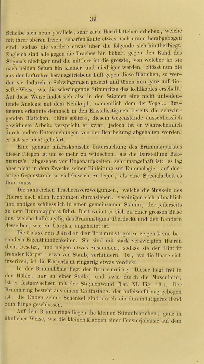 Scheibe sich neun parallele, sehr zarte Hornblältchen erheben, welche mit ihrer oberen freien, scharfen Kante etwas nach unten herabgebogen sind, sodass die vordere etwas über die folgende sich hinüberbiegt. Zugleich sind alle gegen die Trachee hin höher, gegen den Rand des Stigma's niedriger und die mittlere ist die grösste, von welcher ab sie nach beiden Seiten hin kleiner und niedriger werden. Stösst nun die aus der Luftröhre herausgetriebene Luft gegen diese Blältchen, so wer- den sie dadurch in Schwingungen gesetzt und tönen nun ganz auf die- selbe Weise, wie die schwingende Stimmritze des Kehlkopfes erschallt. Auf diese Weise findet sich also in den Stigmen eine nicht unbedeu- tende Analogie mit dem Kehlkopf, namentlich dem der Vögel.« Bur- meister erkannte demnach in den Eristalisstigmen bereits die schwin- genden Blättchen. »Eine spätere, diesem Gegenstande ausschliesslich gewidmete Arbeit« verspricht er zwar, jedoch ist er wahrscheinlich durch andere Untersuchungen von der Bearbeitung abgehalten worden, er hat sie nicht geliefert. Eine genaue mikroskopische Untersuchung des Brummapparates dieser Fliegen ist um so mehr zu wünschen. als die Darstellung Bur- meister's, abgesehen von Ungenauigkeiten, sehr mangelhaft ist; es lag aber nicht in dem Zwecke seiner Einleitung zur Entomologie, auf der- artige Gegenstände so viel Gewicht zu legen, als eine Specialarbeit es thun muss. Die zahlreichen Tracheenverzweigungen, welche die Muskeln des Thorax nach allen Richtungen durchziehen, vereinigen sich allmählich und endigen schliesslich in einen gerneinsamen Stamm, der jederseits zu dem Brummapparat führt. Dort weitet er sich zu einer grossen Blase aus, welche halbkugelig das Brummstigma überdeckt und den Rändern desselben, wie ein Uhrglas, angeheftet ist. Die äusseren Ränder der Brummstigmen zeigen keine be- sondern Eigentümlichkeiten. Sie sind mit stark verzweigten Haaren dicht besetzt, und neigen etwas zusammen, sodass sie den Eintritt fremder Körper, etwa von Staub, verhindern. Da, wo die Haare sich inseriren, ist die Körperhaut ringartig etwas verdickt. In der Brummhöhle liegt der Brummring. Dieser liegt frei in der Höhle, nur an einer Stelle, und zwar durch die Musculatur, ist er festgewachsen mit der Stigmenwand (Taf. XI. Fig. 13.). Der Brummring besteht aus einem Chitinstabe, der hufeisenförmig gebogen ist; die Enden seiner Schenkel sind durch ein dünnhäutigeres Band zum Ringe geschlossen. Auf dem Bruinrnringe liegen die kleinen 'Stimmblättchen , ganz in ähnlicher Weise, wie die kleinen Klappen einer Fensterjalousie auf dem