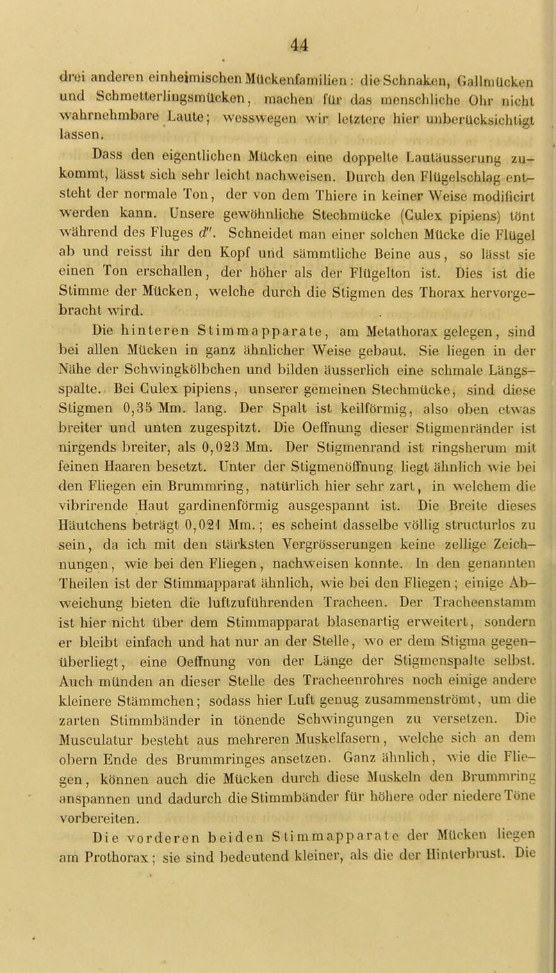 drei anderen einheimischen Mückenfamilien : die Schnaken, Gallmücken und Sehmetlerlingsmücken, machen für das menschliche Ohr nicht wahrnehmbare Laute; wcsswegen wir letztere hier unberücksichtigt lassen. Dass den eigentlichen Mücken eine doppelle Lauläusserung zu- kommt, lässt sich sehr leicht nachweisen. Durch den Flügelschlag ent- steht der normale Ton, der von dem Thiere in keiner Weise modificirl werden kann. Unsere gewöhnliche Stechmücke (Culex pipiens) tönt während des Fluges d. Schneidet man einer solchen Mücke die Flügel ab und reisst ihr den Kopf und sämmtliche Beine aus, so lässt sie einen Ton erschallen, der höher als der Flügelton ist. Dies ist die Stimme der Mücken, welche durch die Stigmen des Thorax hervorge- bracht wird. Die hinteren Stimmapparate, am Metathorax gelegen, sind bei allen Mücken in ganz ähnlicher Weise gebaut. Sie liegen in der Nähe der Schwingkölbchen und bilden äusserlich eine schmale Längs- spalte. Bei Culex pipiens , unserer gemeinen Stechmücke, sind diese Stigmen 0,35 Mm. lang. Der Spalt ist keilförmig, also oben eftmas breiter und unten zugespitzt. Die Oeffnung dieser Stigmenränder ist nirgends breiter, als 0,023 Mm. Der Stigmenrand ist ringsherum mit feinen Haaren besetzt. Unter der Stigmenöffnung liegt ähnlich w ie bei den Fliegen ein Brummring, natürlich hier sehr zart, in welchem die vibrirende Haut gardinenförmig ausgespannt ist. Die Breite dieses Häutchens beträgt 0,021 Mm.; es scheint dasselbe völlig structurlos zu sein, da ich mit den stärksten Vergrösserungen keine zellige Zeich- nungen , wie bei den Fliegen, nachweisen konnte. In den genannten Theilen ist der Stimmapparat ähnlich, wie bei den Fliegen; einige Ab- weichung bieten die luftzuführenden Tracheen. Der Tracheenstamm ist hier nicht über dem Stimmapparat blasenartig erweitert, sondern er bleibt einfach und hat nur an der Stelle, wo er dem Stigma gegen- überliegt, eine Oeffnung von der Länge der Stigmenspalte selbst. Auch münden an dieser Stelle des Tracheenrohres noch einige andere kleinere Stämmchen; sodass hier Luft genug zusammenströmt, um die zarten Stimmbänder in tönende Schwingungen zu versetzen. Die Musculatur besteht aus mehreren Muskelfasern, welche sich an dem obern Ende des Brummringes ansetzen. Ganz ähnlich, wie die Flie- gen, können auch die Mücken durch diese Muskeln den Brummrin:: anspannen und dadurch die Stimmbänder für höhere oder niedere Time vorbereiten. Die vorderen beiden Stimmapparatc der Mücken liegen am Prothorax; sie sind bedeutend kleiner, als die der Hinlerbrusl. Die