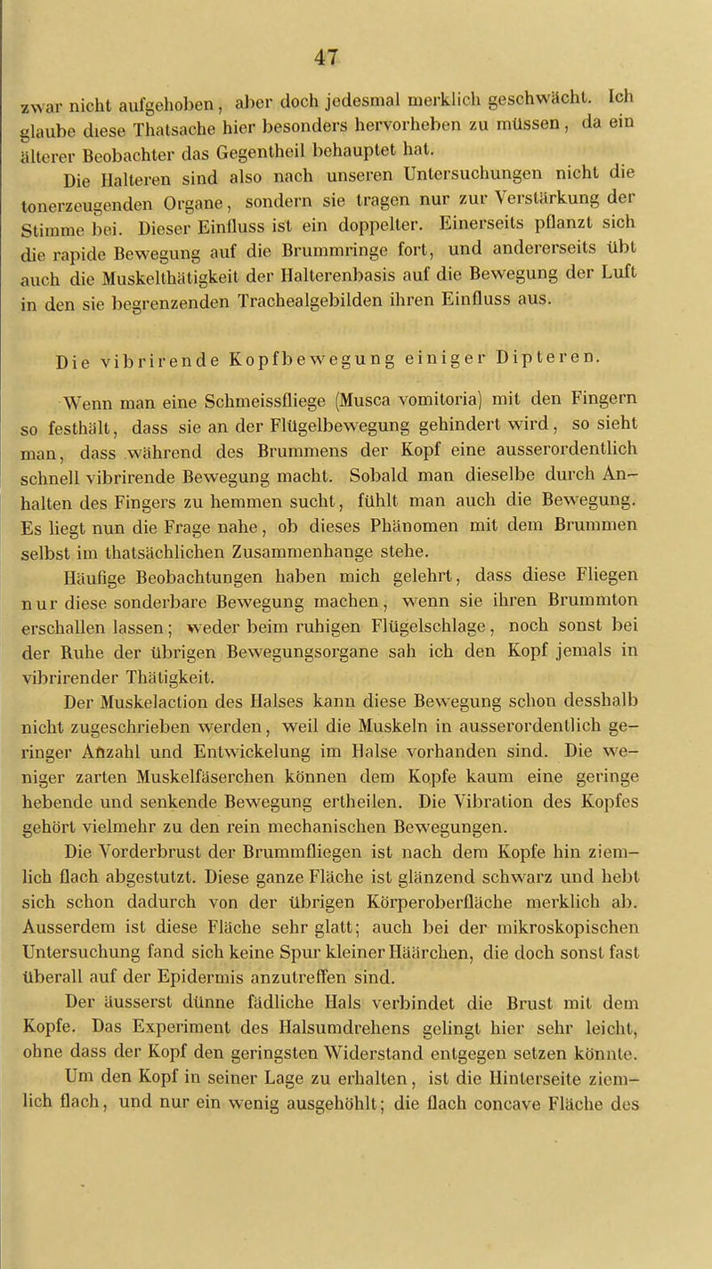 »war nicht aufgehoben, aber doch jedesmal merklich geschwächt. Ich glaube diese Thatsache hier besonders hervorheben zu müssen, da ein älterer Beobachter das Gegentheil behauptet hat. Die Halteren sind also nach unseren Untersuchungen nicht die tonerzeugenden Organe, sondern sie tragen nur zur Verstärkung der Stimme bei. Dieser Einüuss ist ein doppelter. Einerseits pflanzt sich die rapide Bewegung auf die Brummringe fort, und andererseits übt auch die Muskelthätigkeit der Halterenbasis auf die Bewegung der Luft in den sie begrenzenden Trachealgebilden ihren Einfluss aus. Die vibrirende Kopfbewegung einiger Dipteren. Wenn man eine Schmeissfliege (Musca vomitoria) mit den Fingern so festhält, dass sie an der Flügelbewegung gehindert wird, so sieht man, dass während des Brummens der Kopf eine ausserordentlich schnell vibrirende Bewegung macht. Sobald man dieselbe durch An- halten des Fingers zu hemmen sucht, fühlt man auch die Bewegung. Es liegt nun die Frage nahe, ob dieses Phänomen mit dem Brummen selbst im thatsächlichen Zusammenhange stehe. Häufige Beobachtungen haben mich gelehrt, dass diese Fliegen nur diese sonderbare Bewegung machen, wenn sie ihren Brummton erschallen lassen; weder beim ruhigen Flügelschlage , noch sonst bei der Ruhe der übrigen Bewegungsorgane sah ich den Kopf jemals in vibrirender Thätigkeit. Der Muskelaction des Halses kann diese Bewegung schon desshalb nicht zugeschrieben werden, weil die Muskeln in ausserordentlich ge- ringer Anzahl und Entwickelung im Halse vorhanden sind. Die we- niger zarten Muskelfäserchen können dem Kopfe kaum eine geringe hebende und senkende Bewegung ertheilen. Die Vibration des Kopfes gehört vielmehr zu den rein mechanischen Bewegungen. Die Vorderbrust der Brummfliegen ist nach dem Kopfe hin ziem- lich flach abgestutzt. Diese ganze Fläche ist glänzend schwarz und hebt sich schon dadurch von der übrigen Körperoberfläche merklich ab. Ausserdem ist diese Fläche sehr glatt; auch bei der mikroskopischen Untersuchung fand sich keine Spur kleiner Häärchen, die doch sonst fast überall auf der Epidermis anzutreffen sind. Der äusserst dünne fädliche Hals verbindet die Brust mit dem Kopfe. Das Experiment des Halsumdrehens gelingt hier sehr leicht, ohne dass der Kopf den geringsten Widerstand entgegen setzen könnk\ Um den Kopf in seiner Lage zu erhalten, ist die Hinterseite ziem- lich flach, und nur ein wenig ausgehöhlt; die flach concave Fläche des